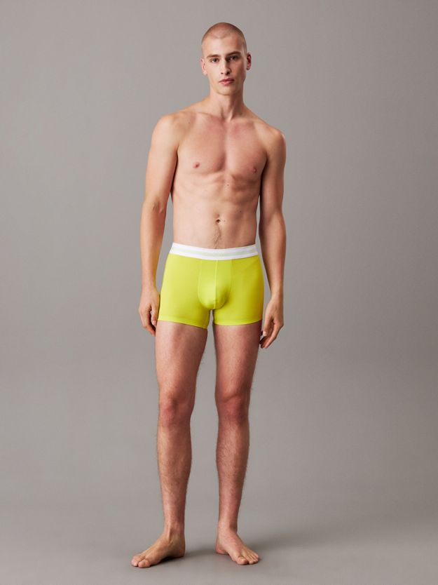 Trunks - Icon Modal Mesh