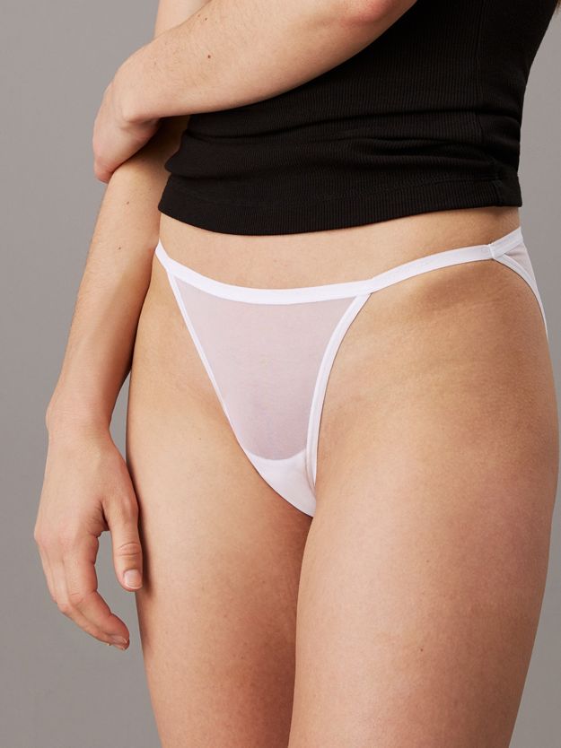 Sheer Mesh Bikini Briefs