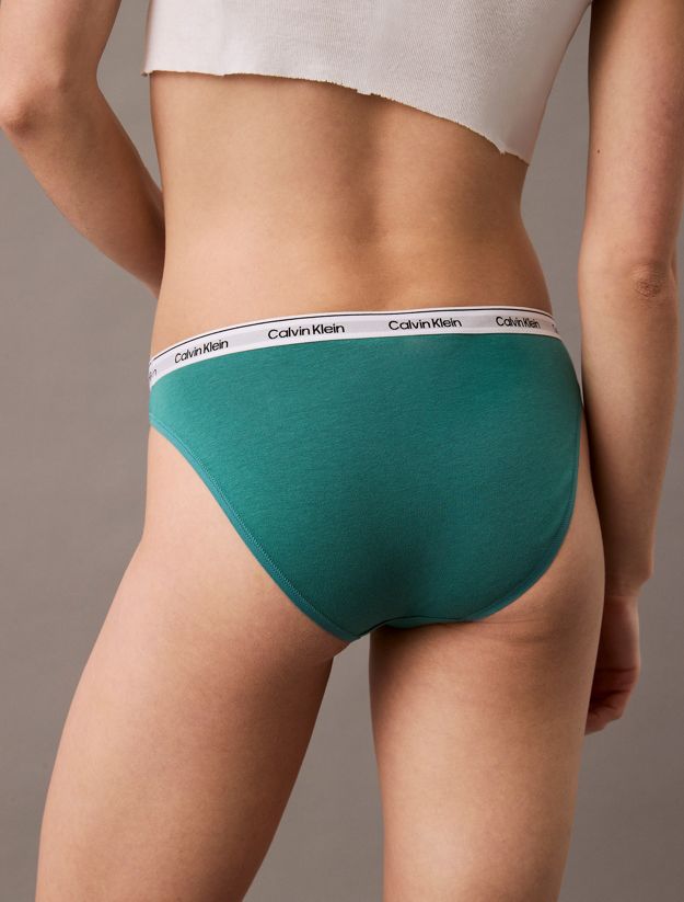 Bikini Briefs - Icon Logo
