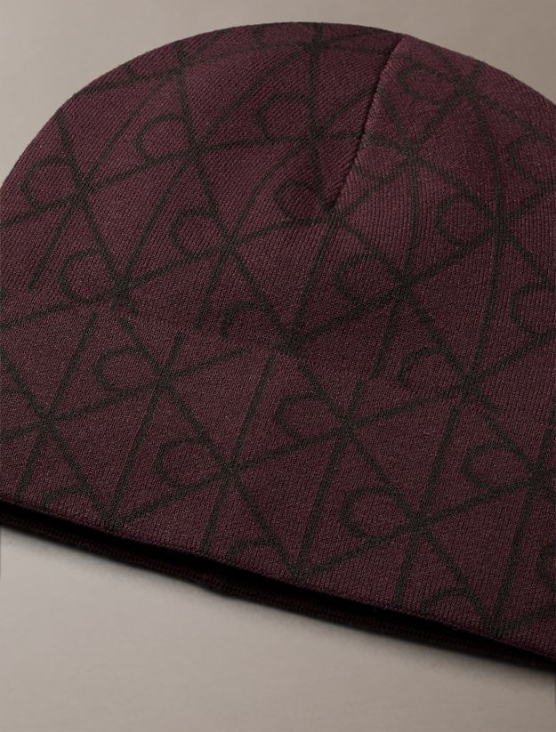 Emblem Logo Beanie
