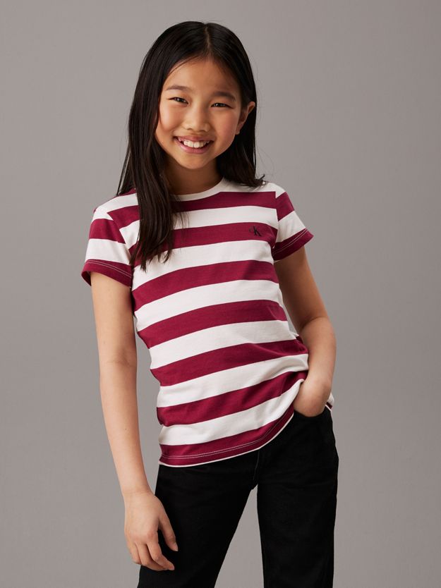 2 Pack Slim T-shirts