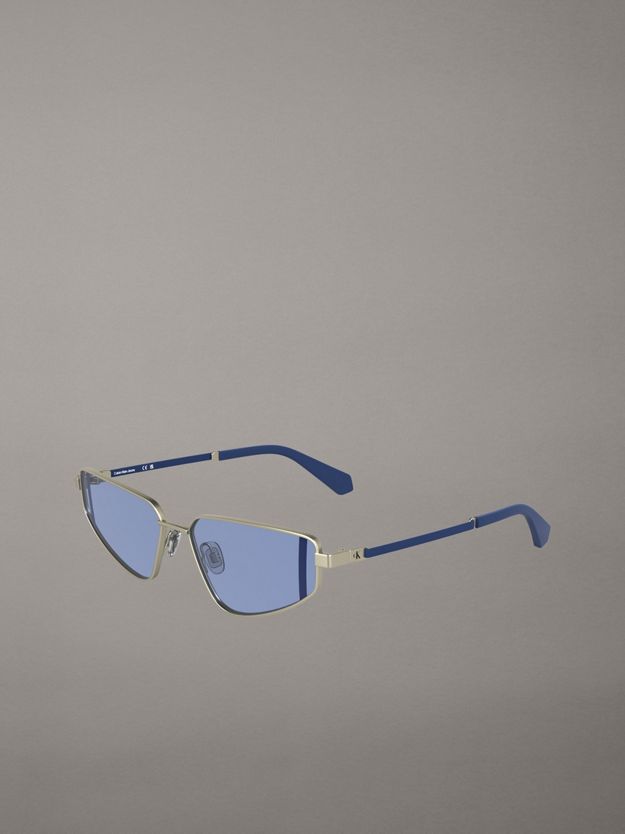 Cat Eye Sunglasses CKJ25200S