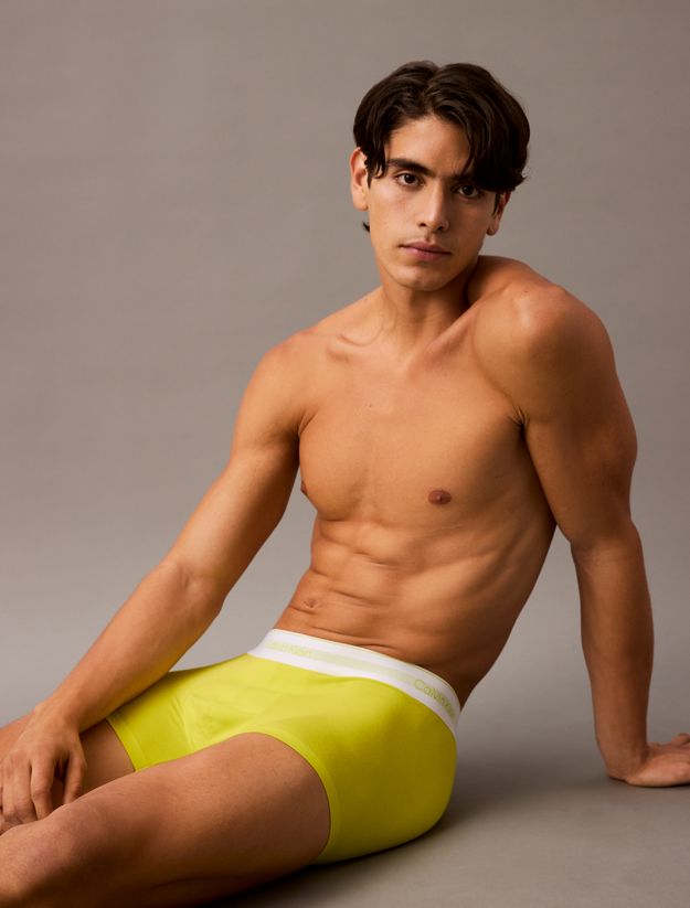 Trunks - Icon Modal Mesh