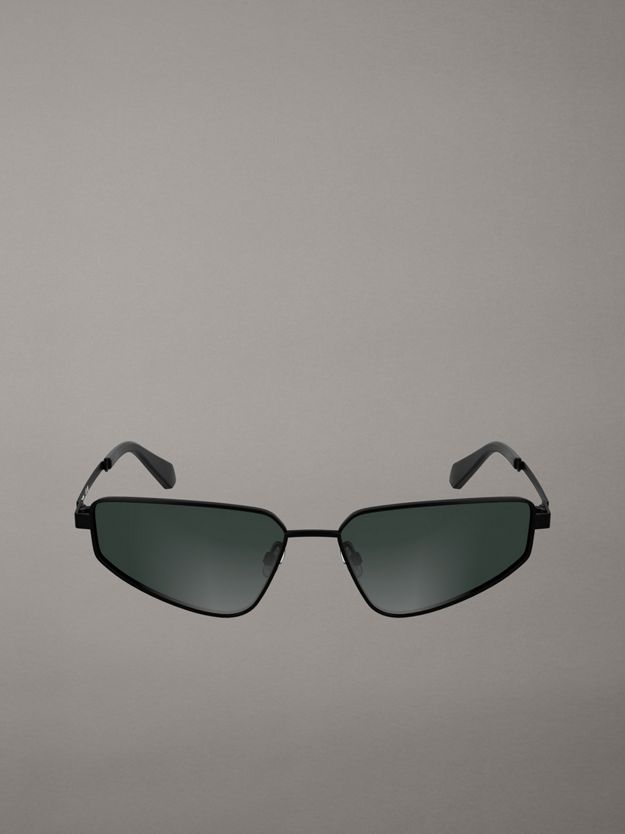 Cat Eye Sunglasses CKJ25200S