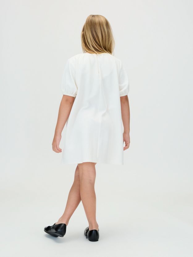 Puff Sleeve Crinkle Dress