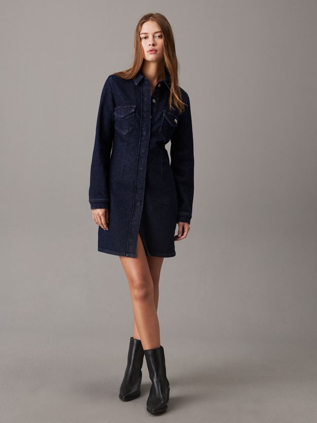 Fitted Denim Shirt Dress