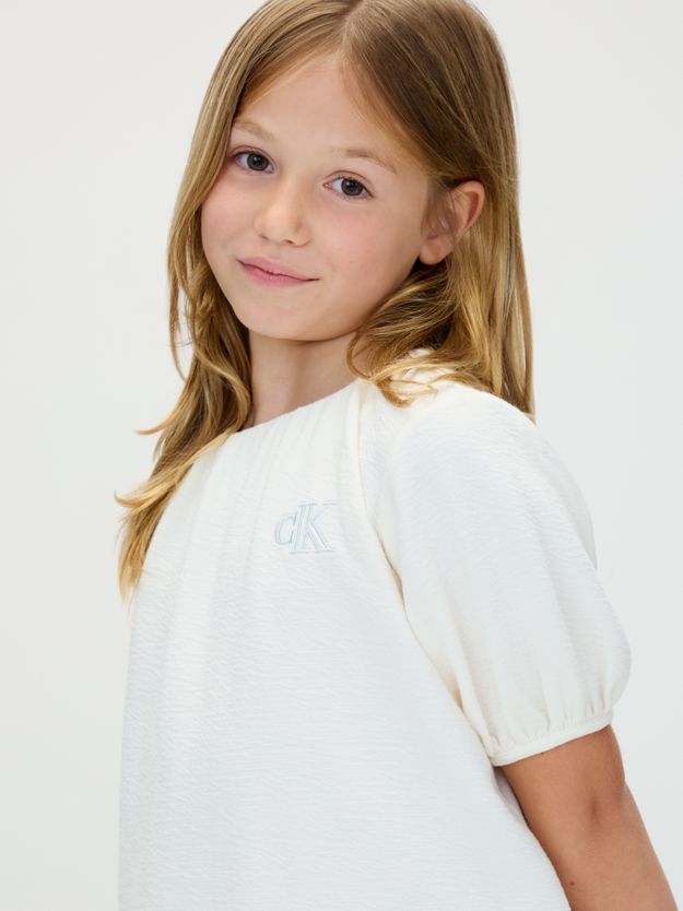 Puff Sleeve Crinkle Dress