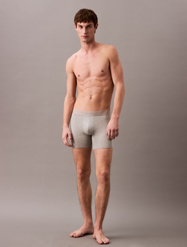 Boxer Briefs - Ultra Soft Modal