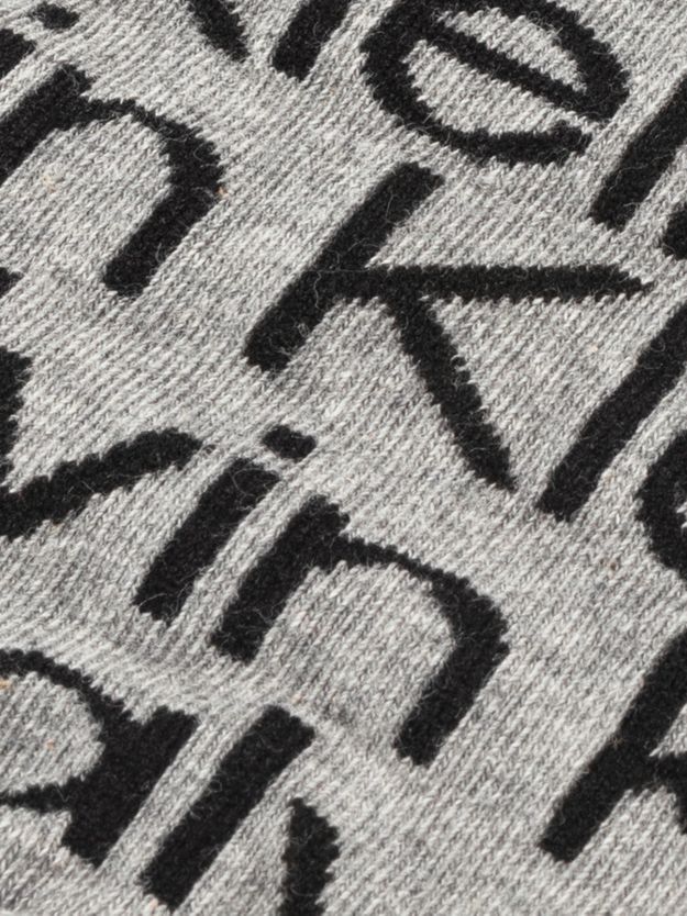 2 Pack Logo Ankle Socks