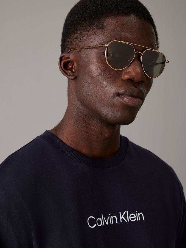 Aviator Sunglasses CK24100S