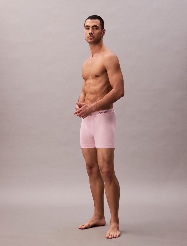 5 Pack Boxer Briefs - Icon Pride