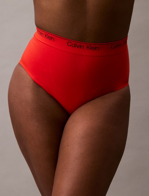 Shapewear Briefs - Icon