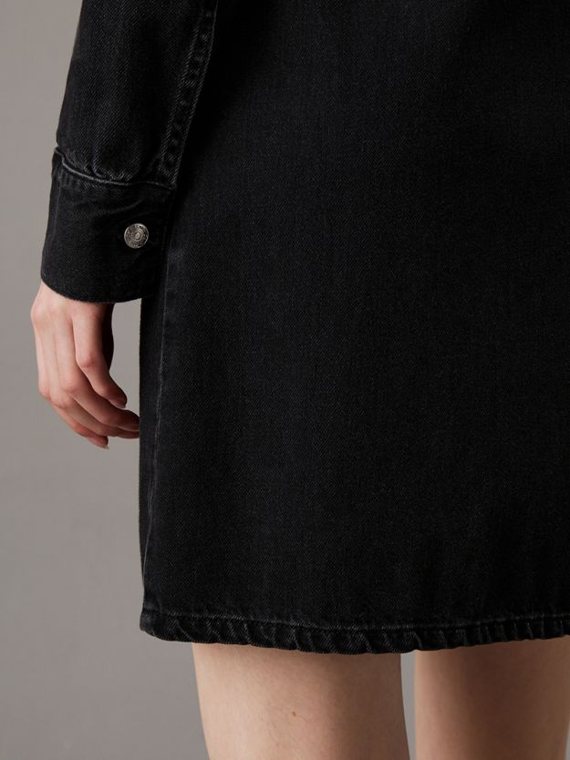 Fitted Denim Shirt Dress