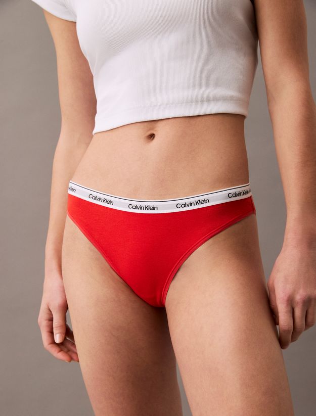 5 Pack Bikini Briefs - Icon Logo