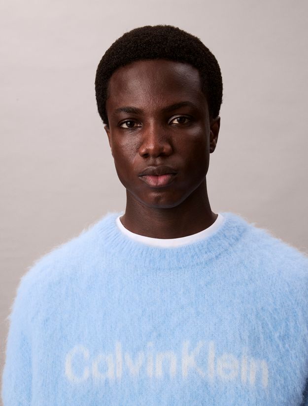 Brushed Alpaca Wool Blend Monogram Logo Sweater