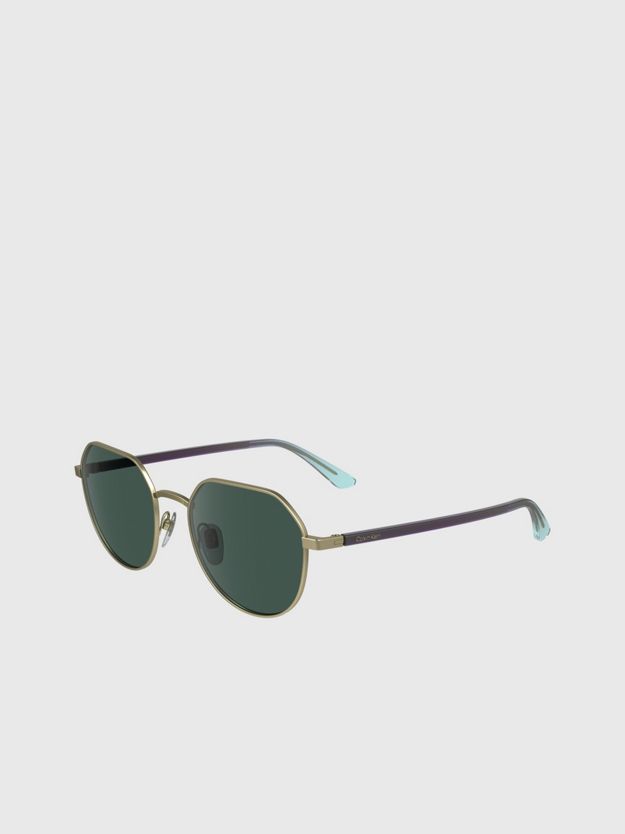 Round Sunglasses CK23125S