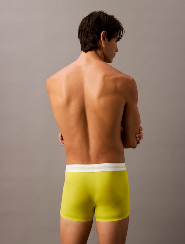 Trunks - Icon Modal Mesh