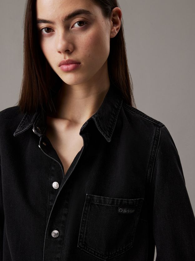 Fitted Denim Shirt Dress