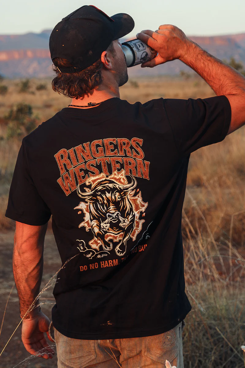 Do No Harm Take No Bull Mens Loose Fit T-Shirt - Black