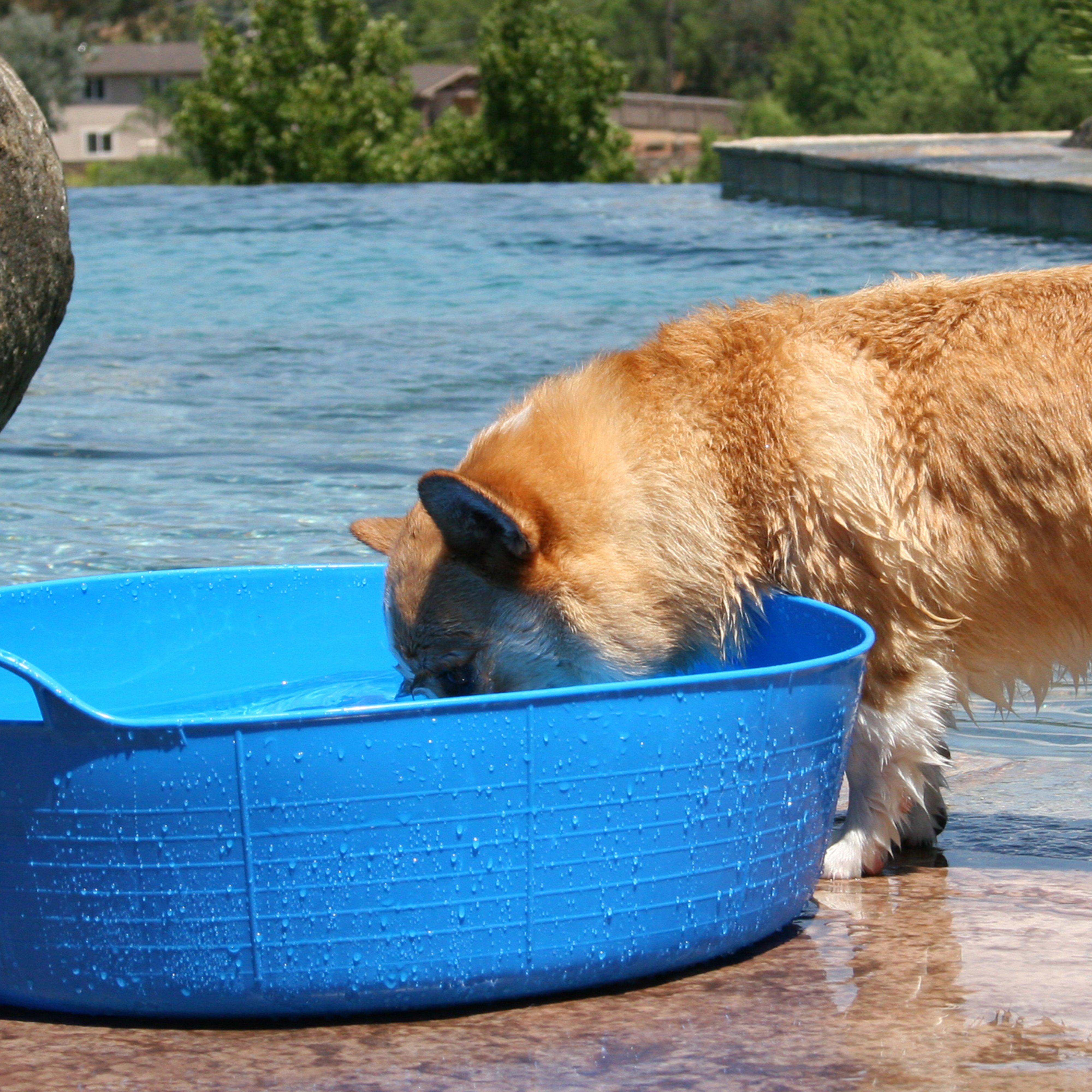 Shallow Gorilla Tub®