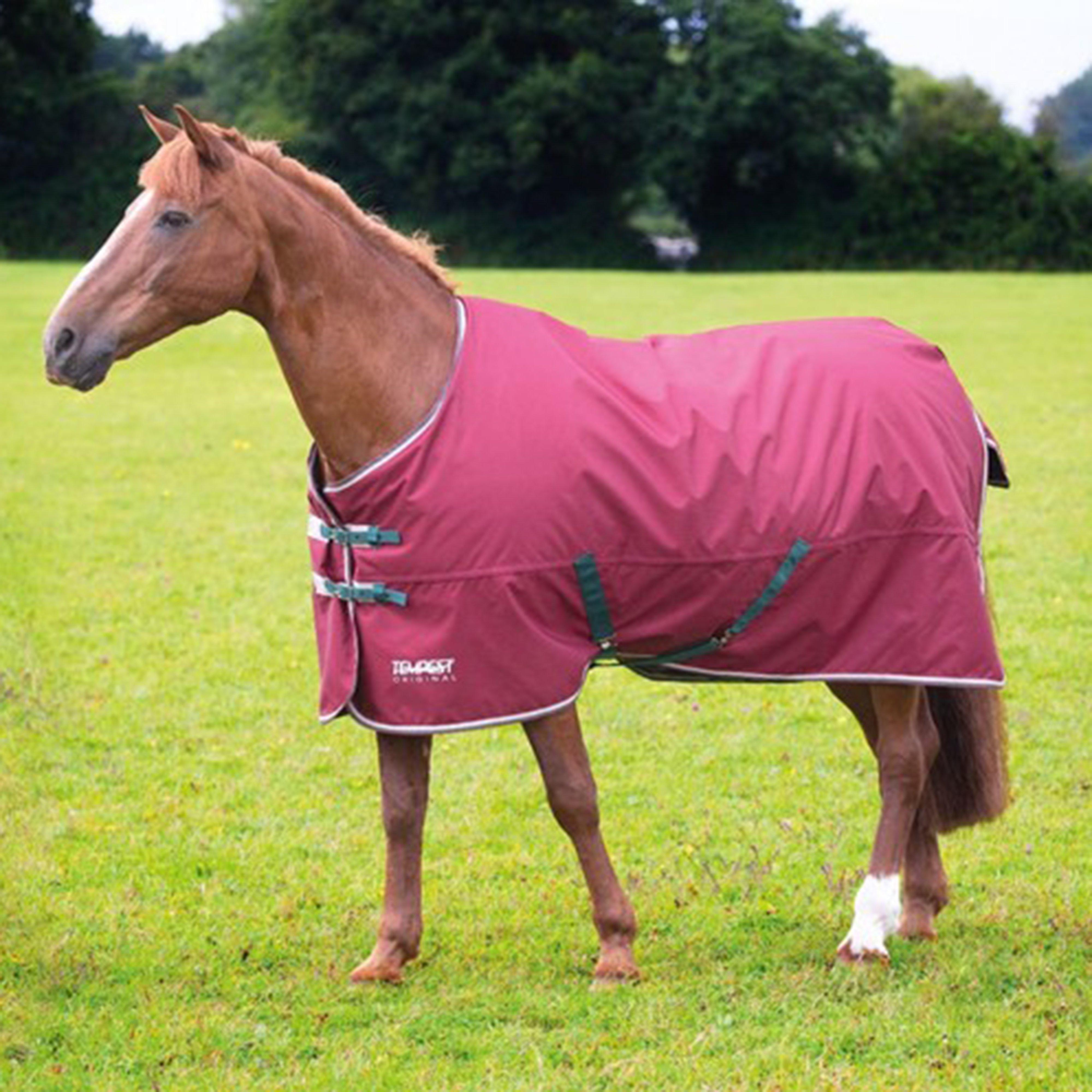 Tempest Original 200g Turnout Rug