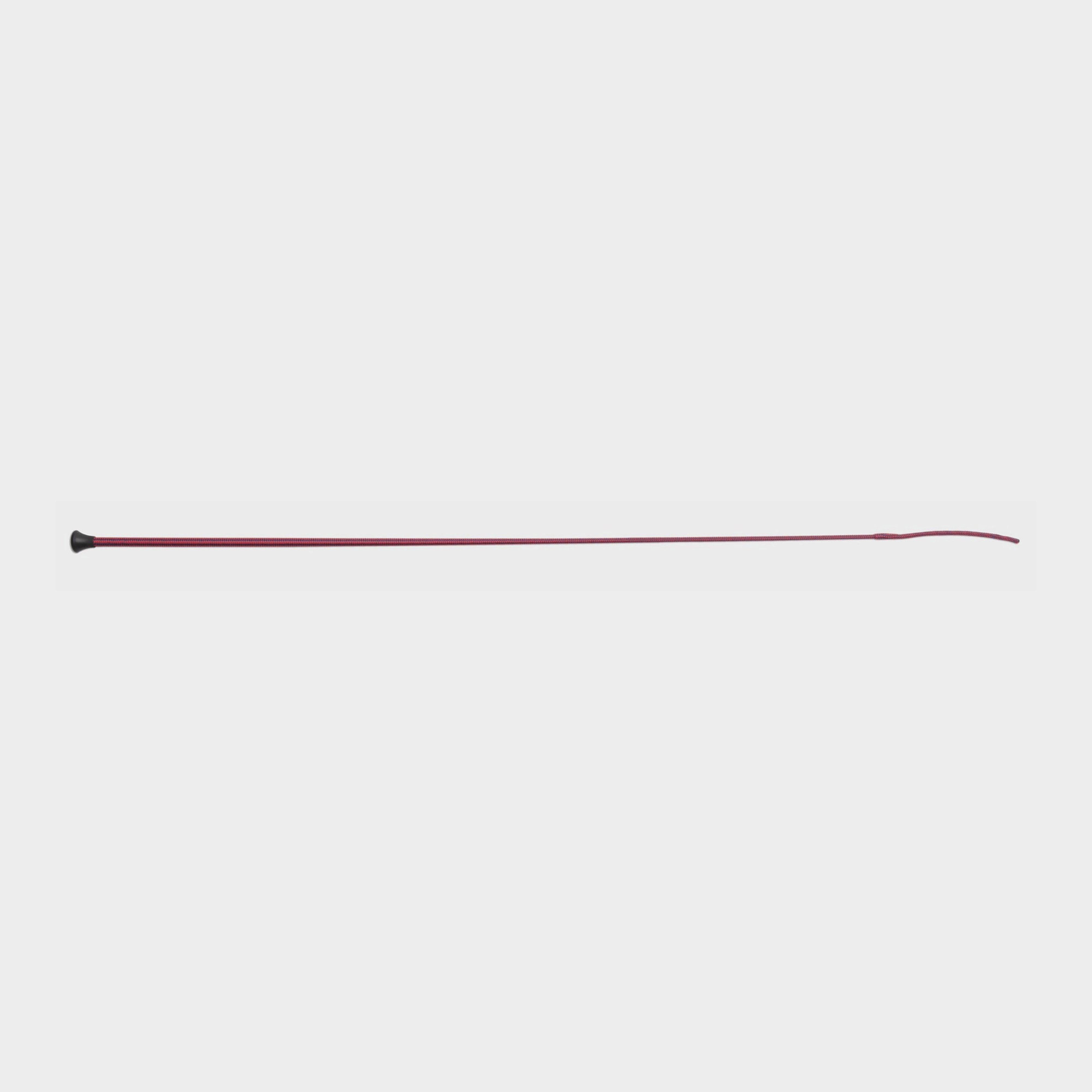 Schooling Whip
