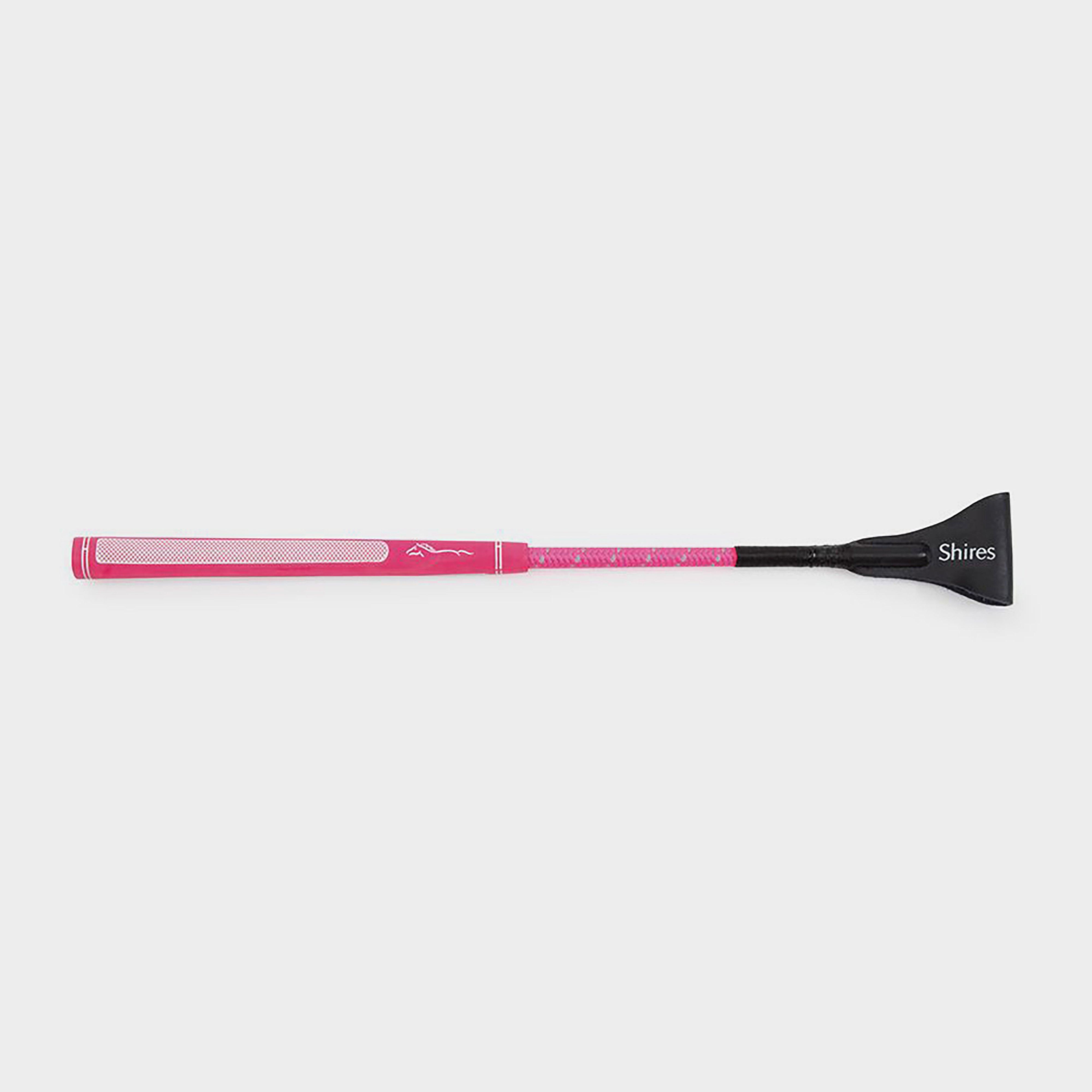 Rainbow Jumping Bat