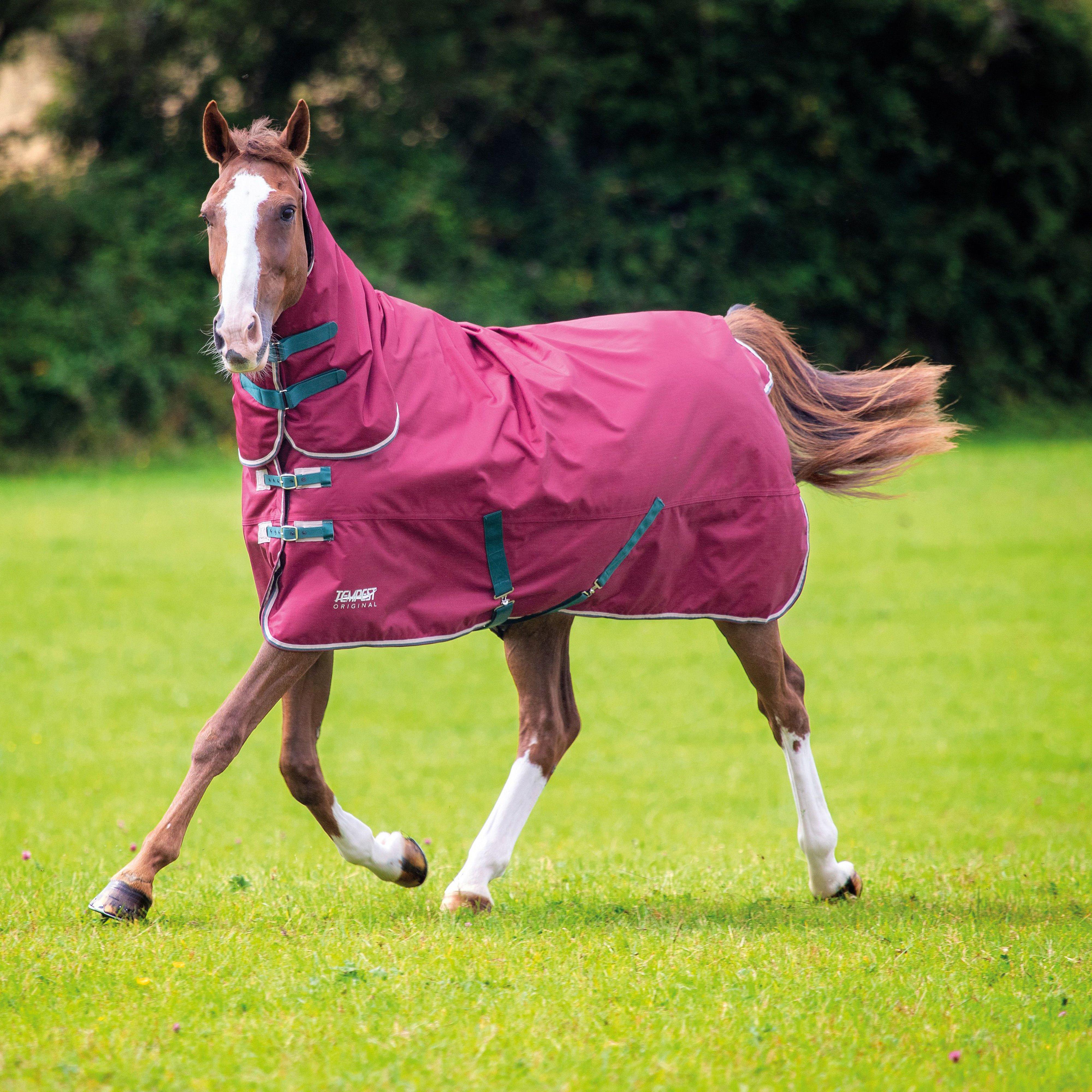 Tempest Original Standard Neck 200g Medium Weight Turnout Rug