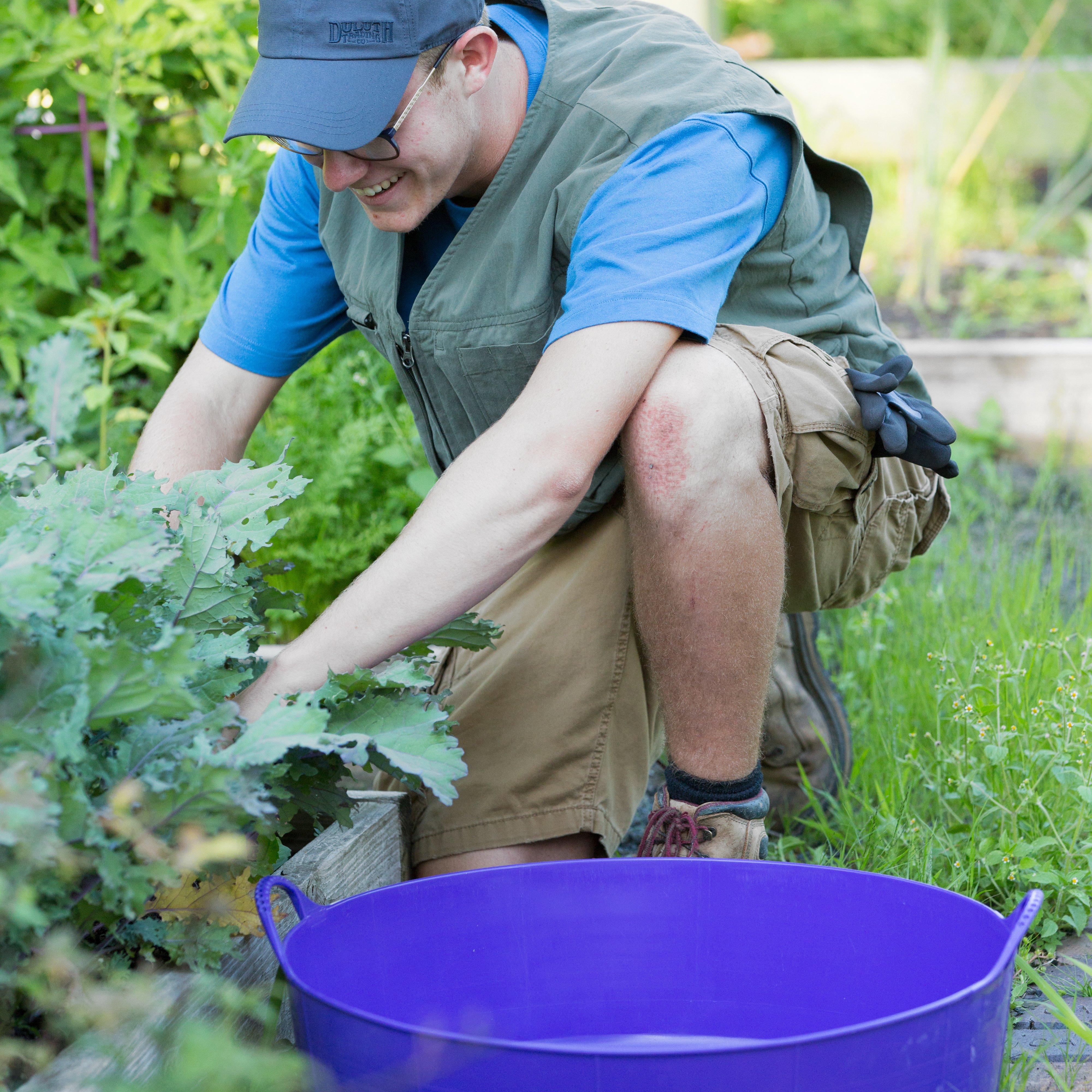 Shallow Gorilla Tub®