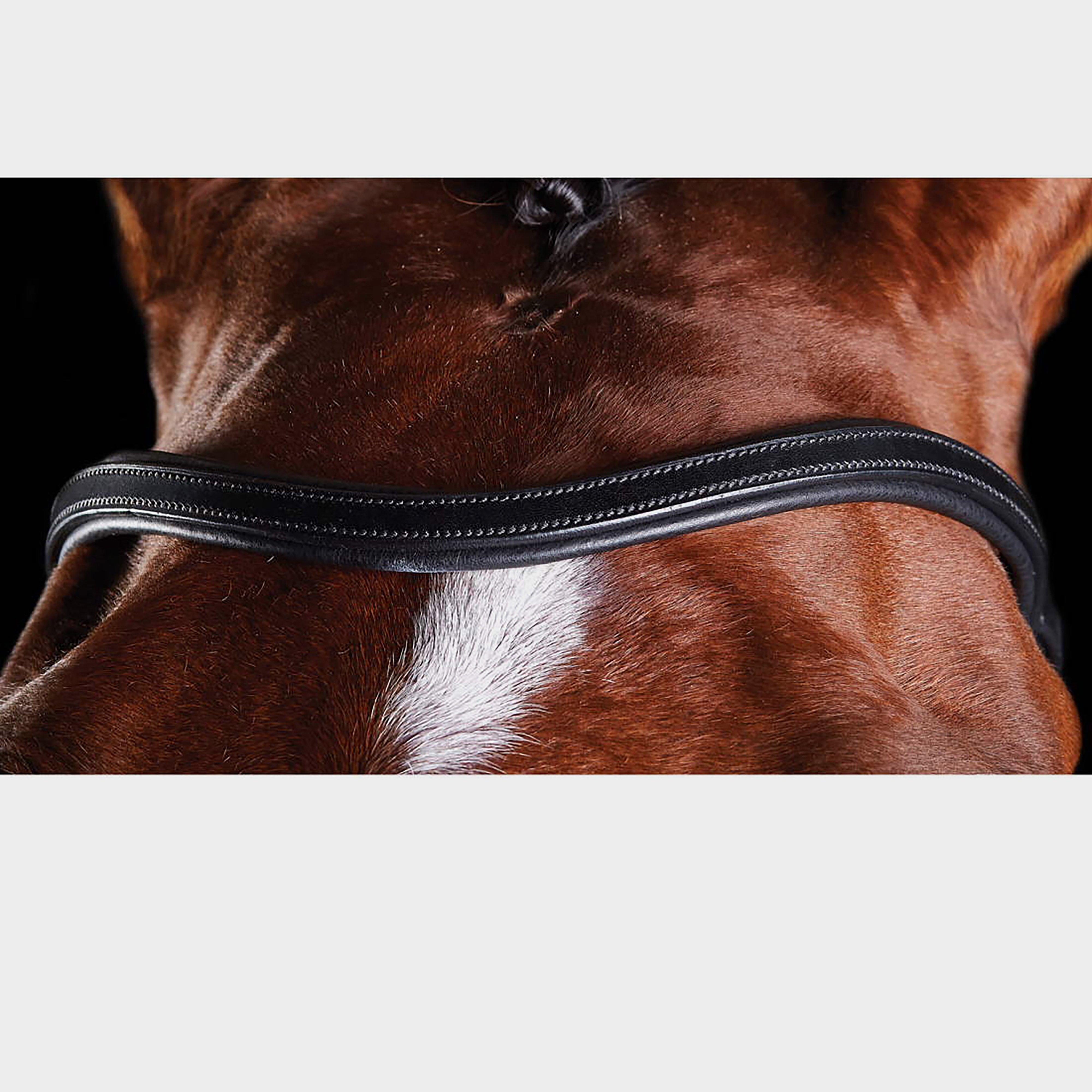 ComFiTec Training Bridle