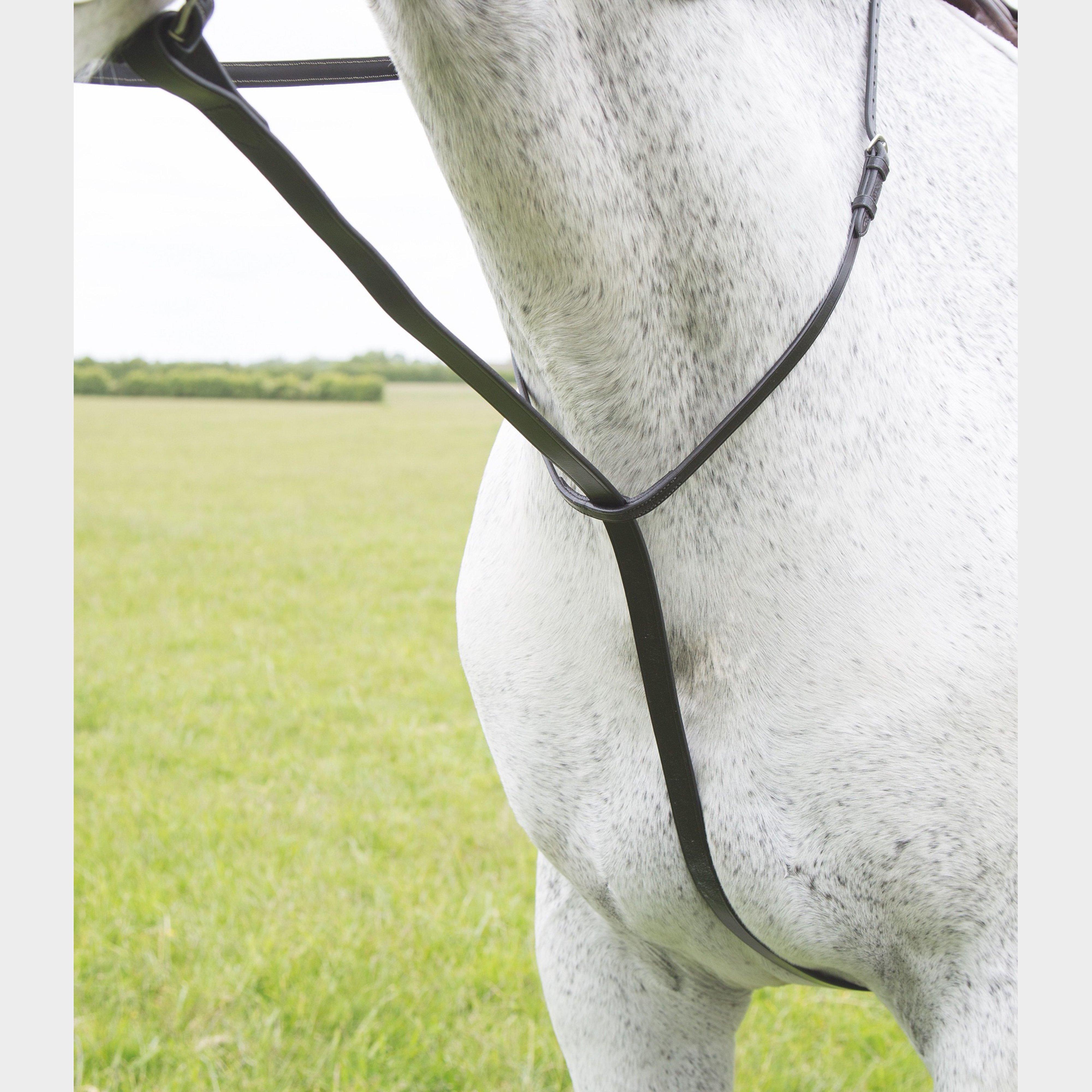 Standing Martingale