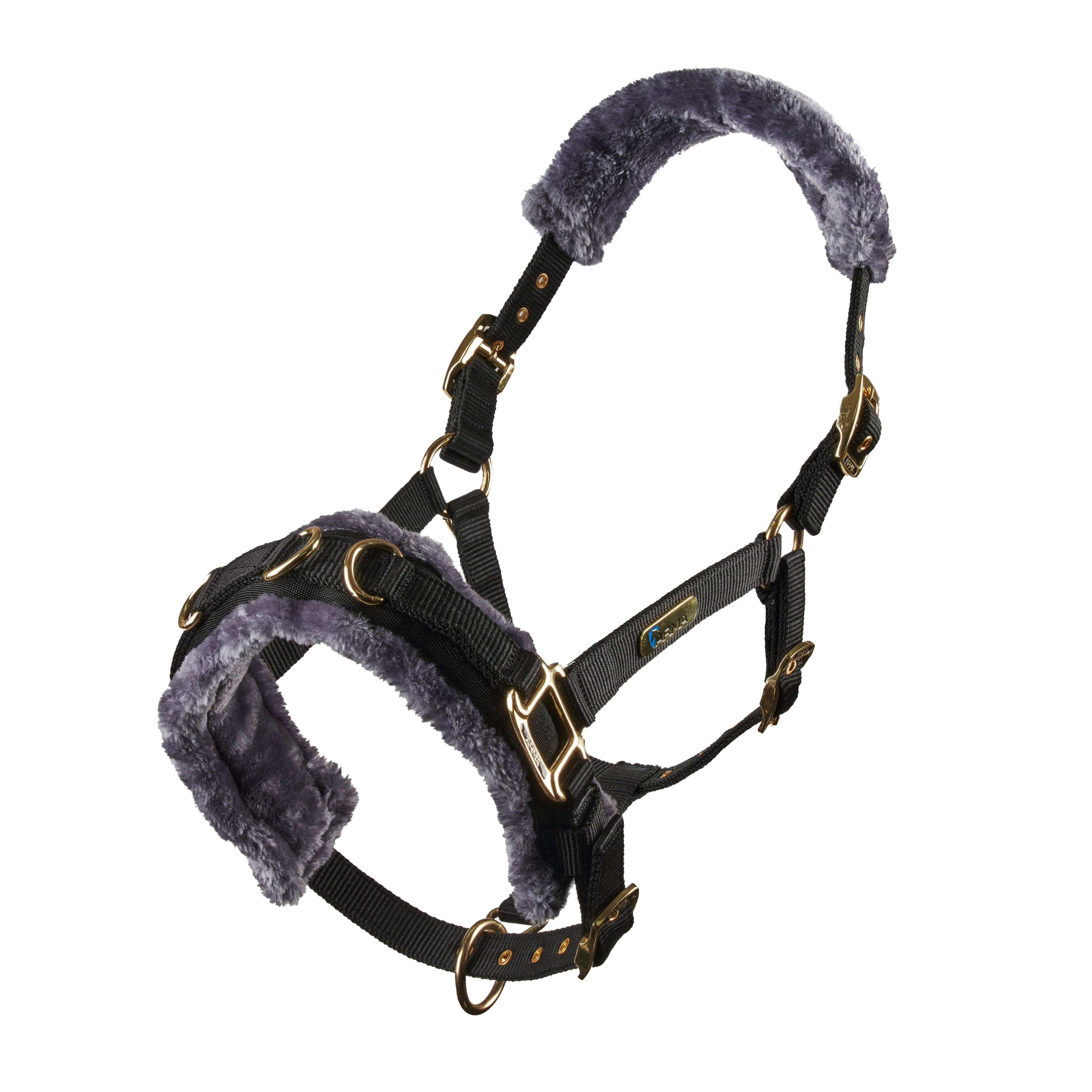 Fleece Lined Lunge Cavesson