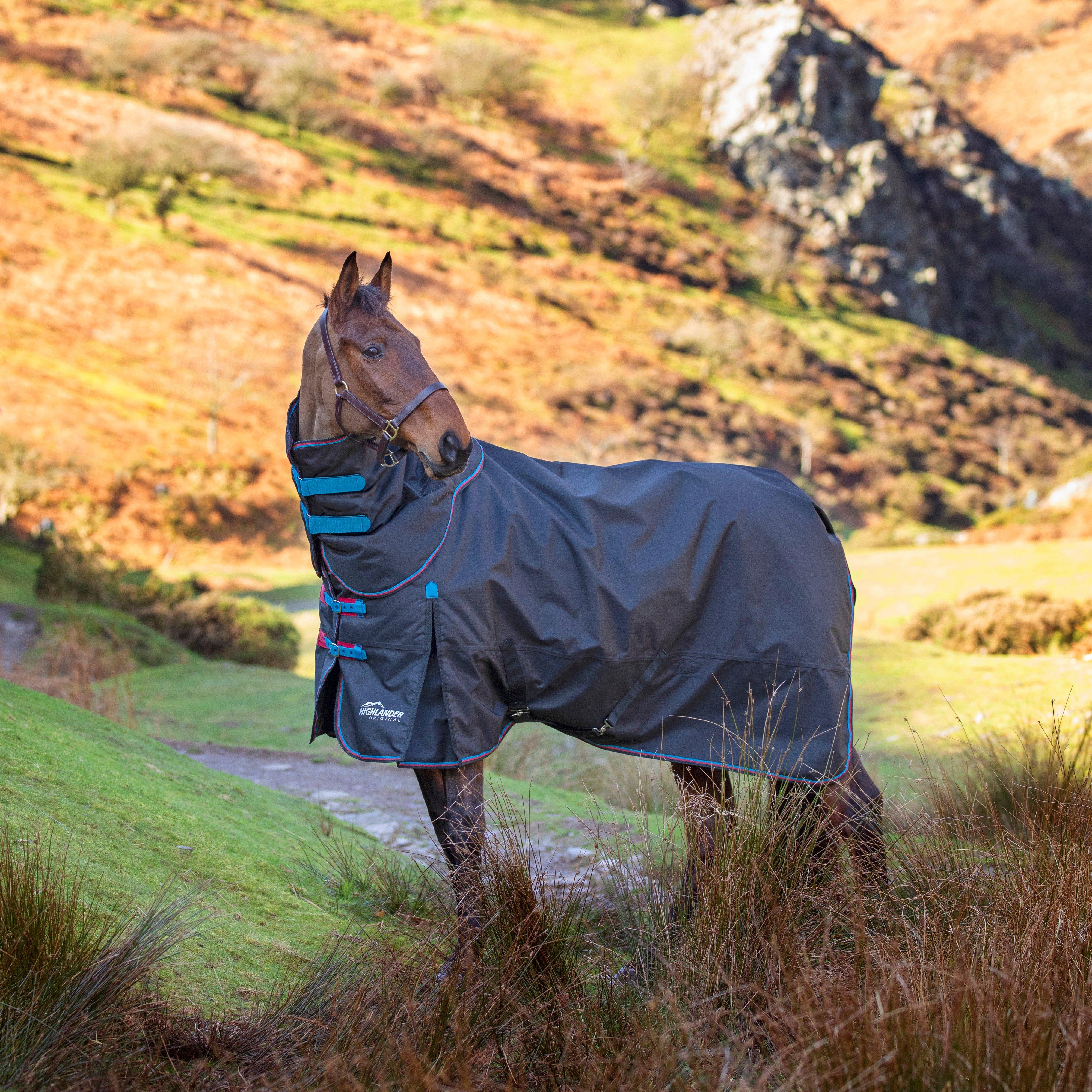 Highlander Original 200g Medium Combo Neck Turnout Rug