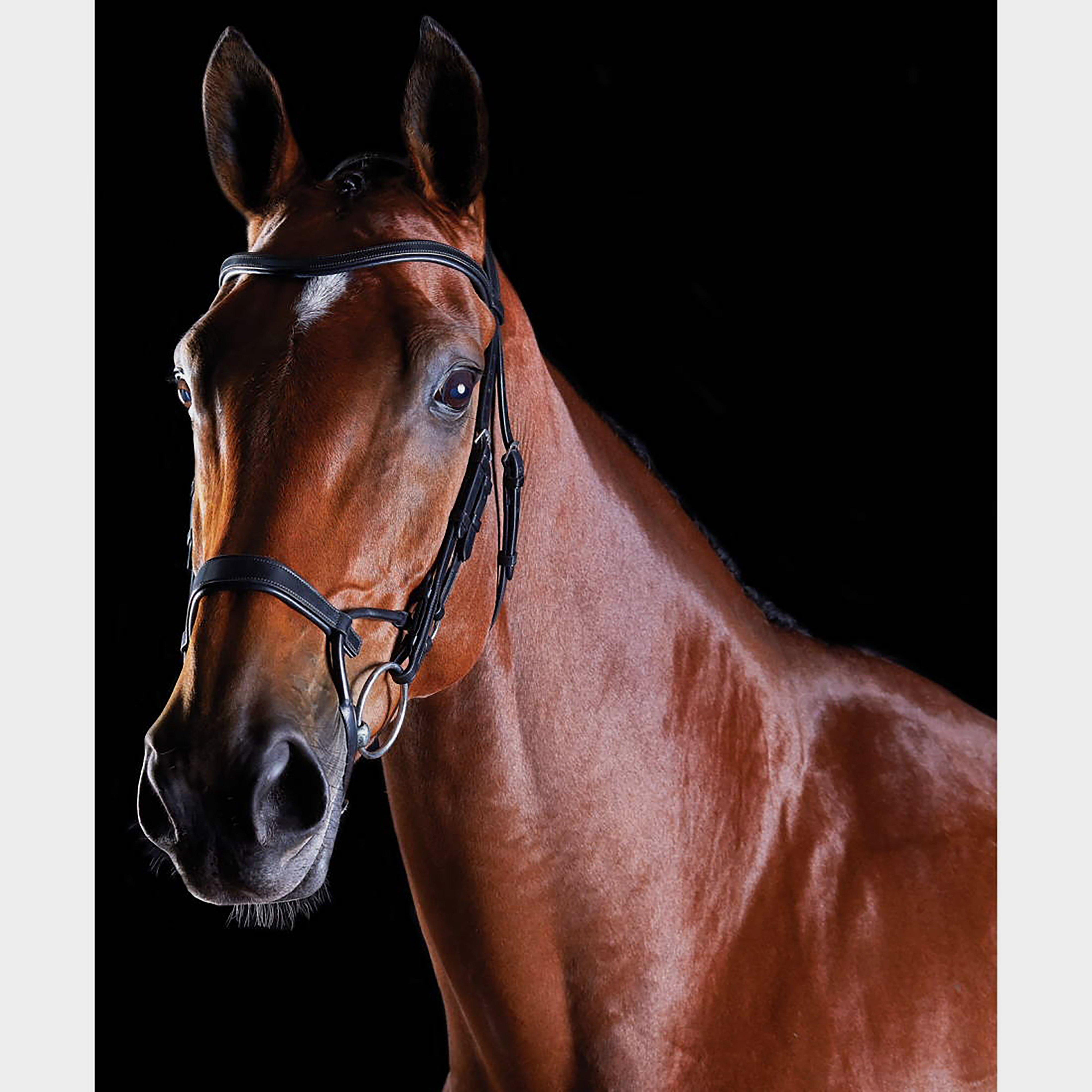 ComFiTec Training Bridle