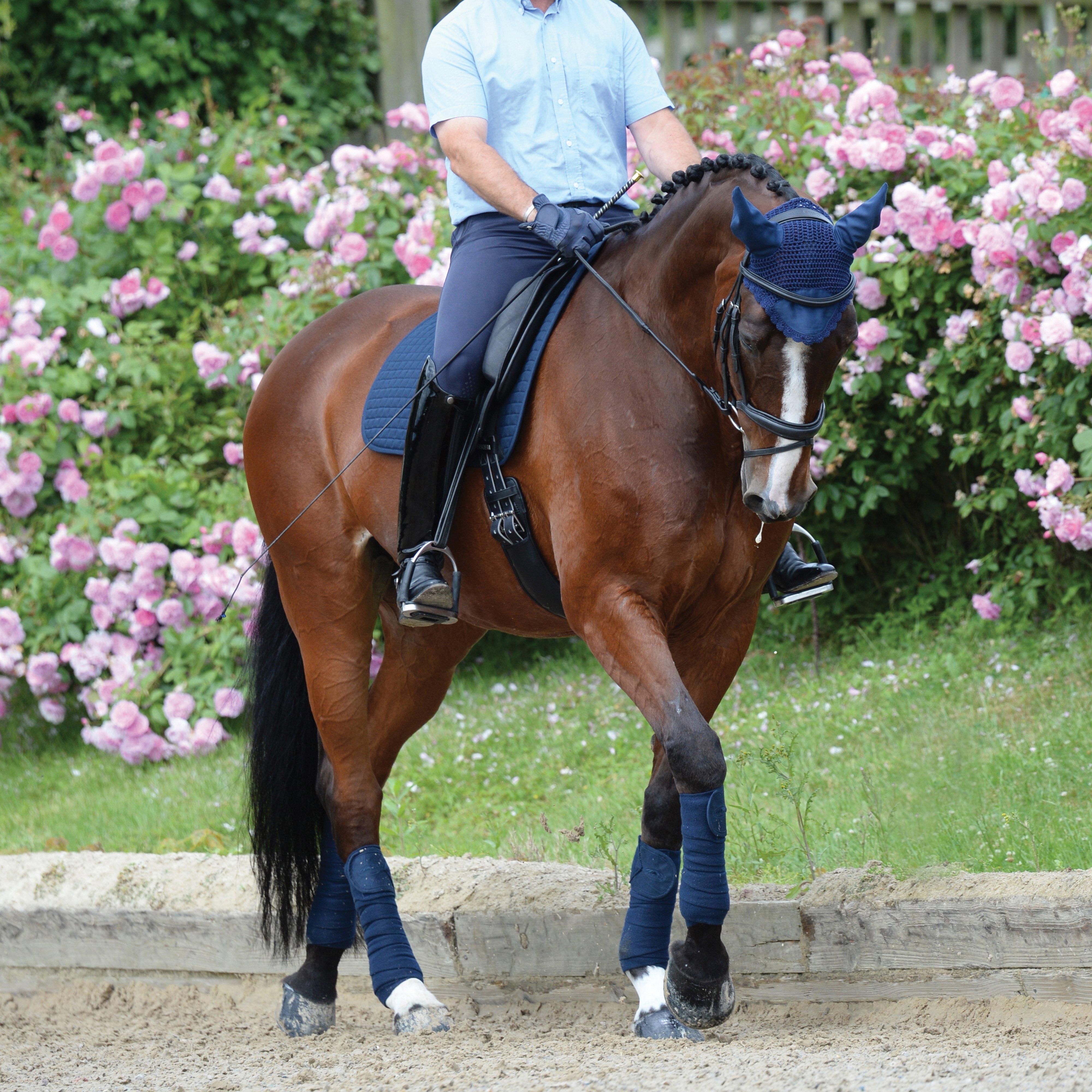 Prime Dressage Saddle Pad Navy