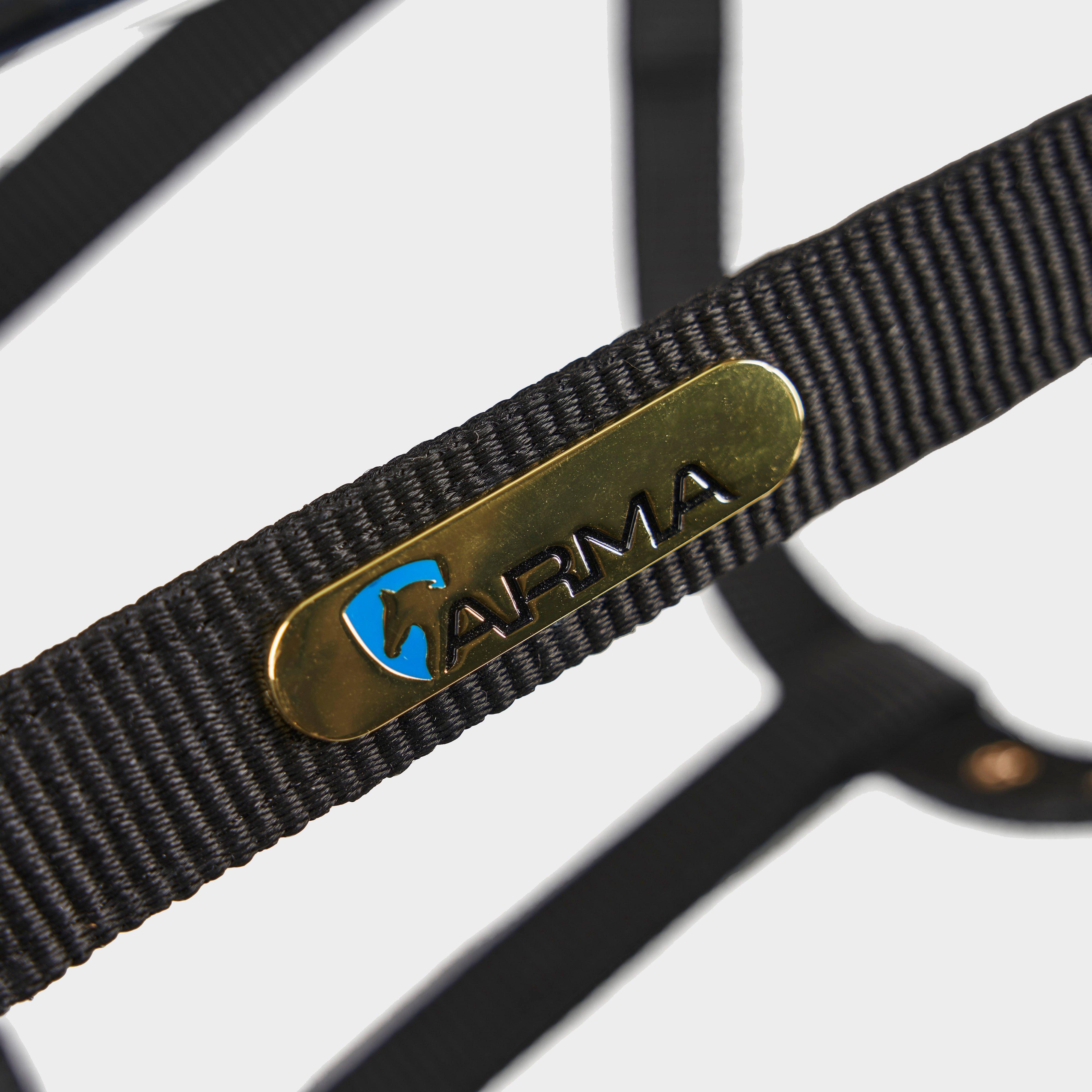 Fleece Lined Lunge Cavesson