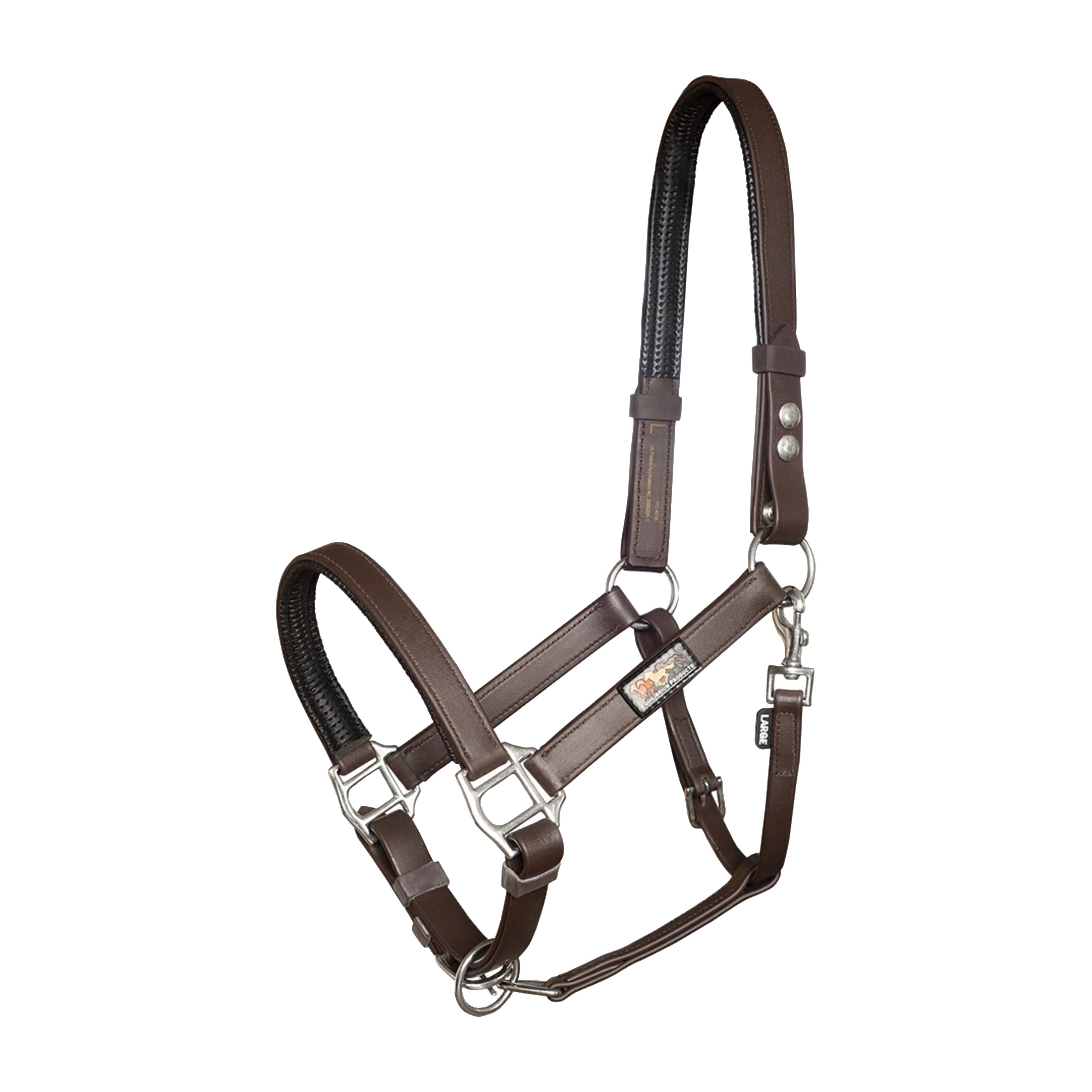 Stellar Safety Horse Headcollar