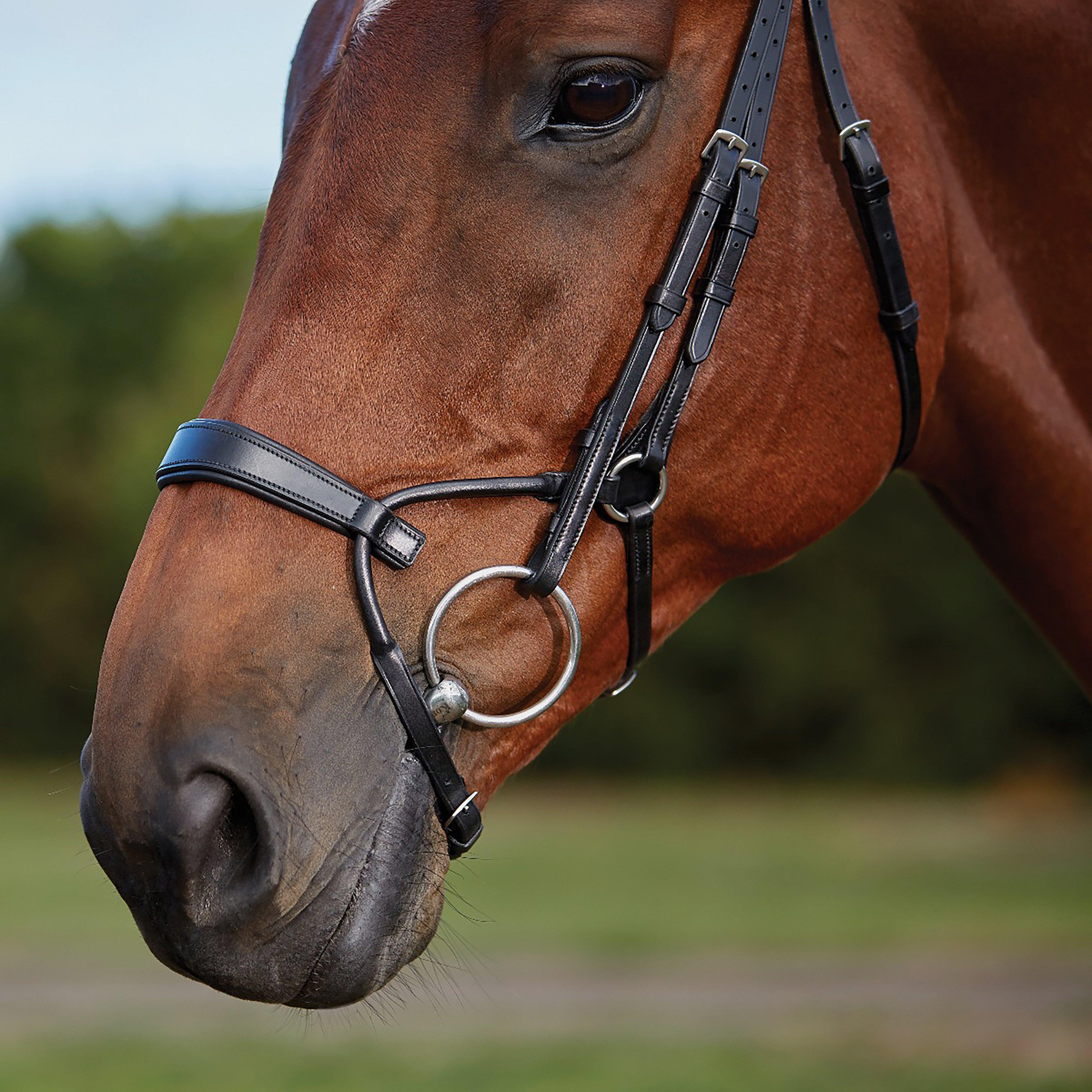 ComFiTec Training Bridle