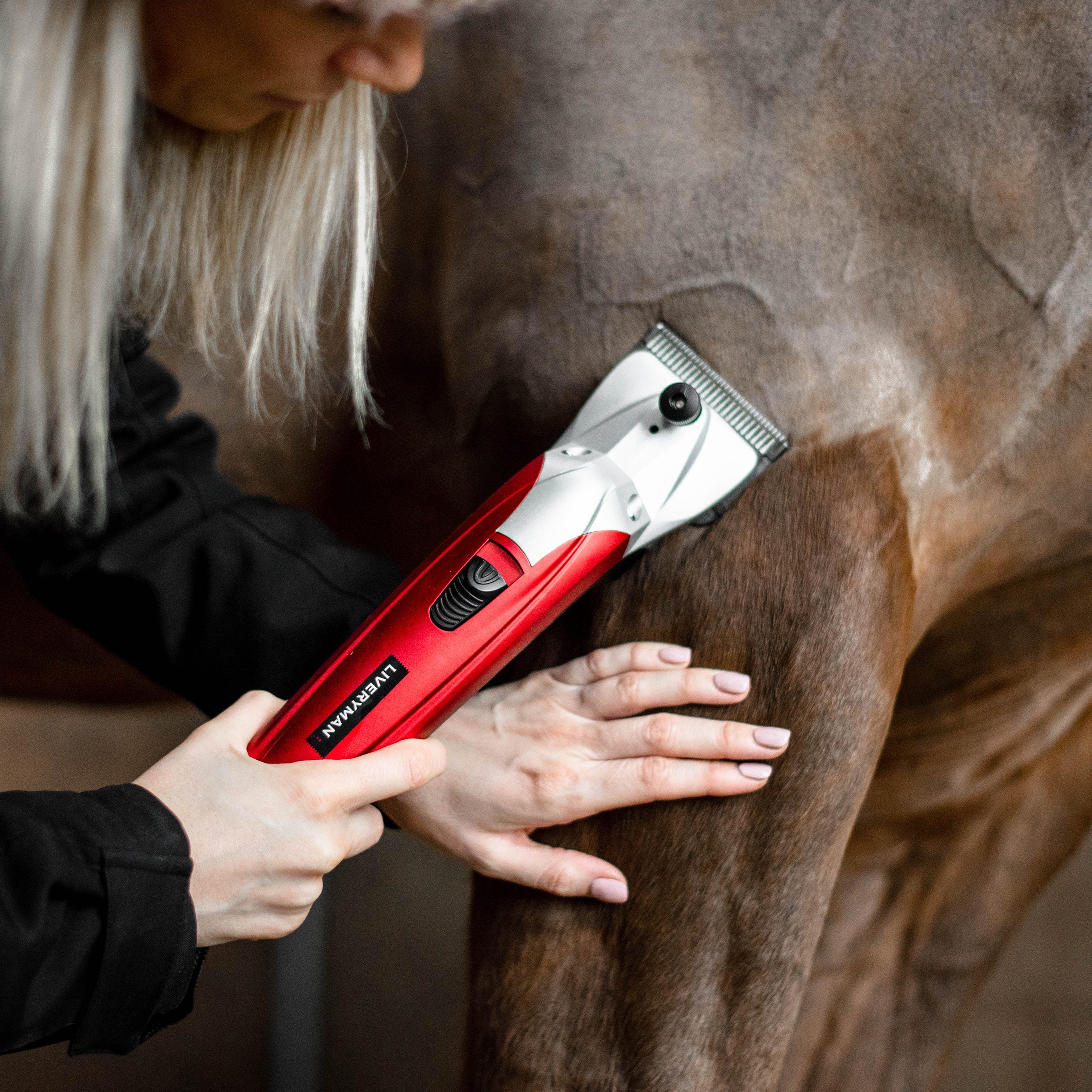 Black Beauty Clipper