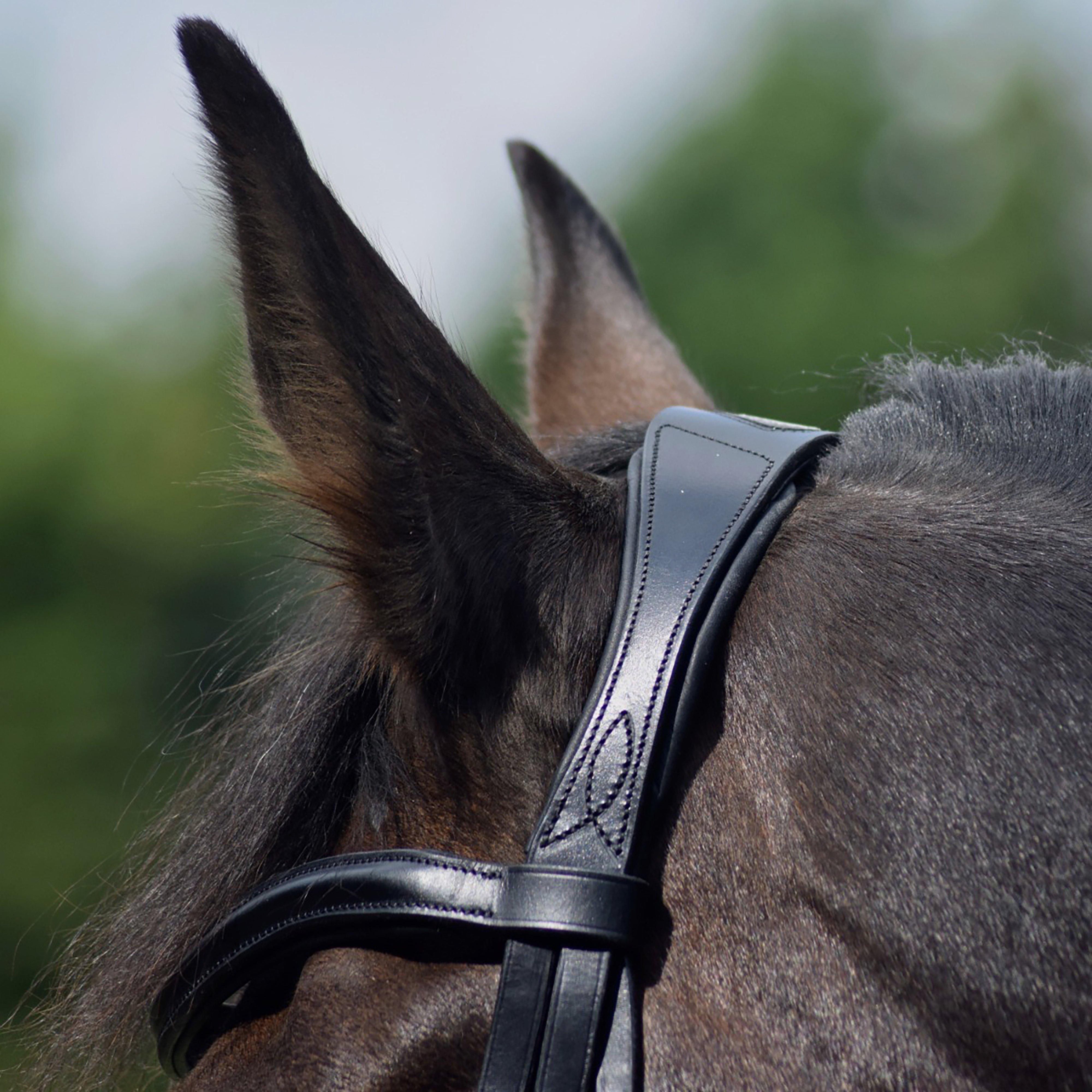 Dressage Flash Bridle Black