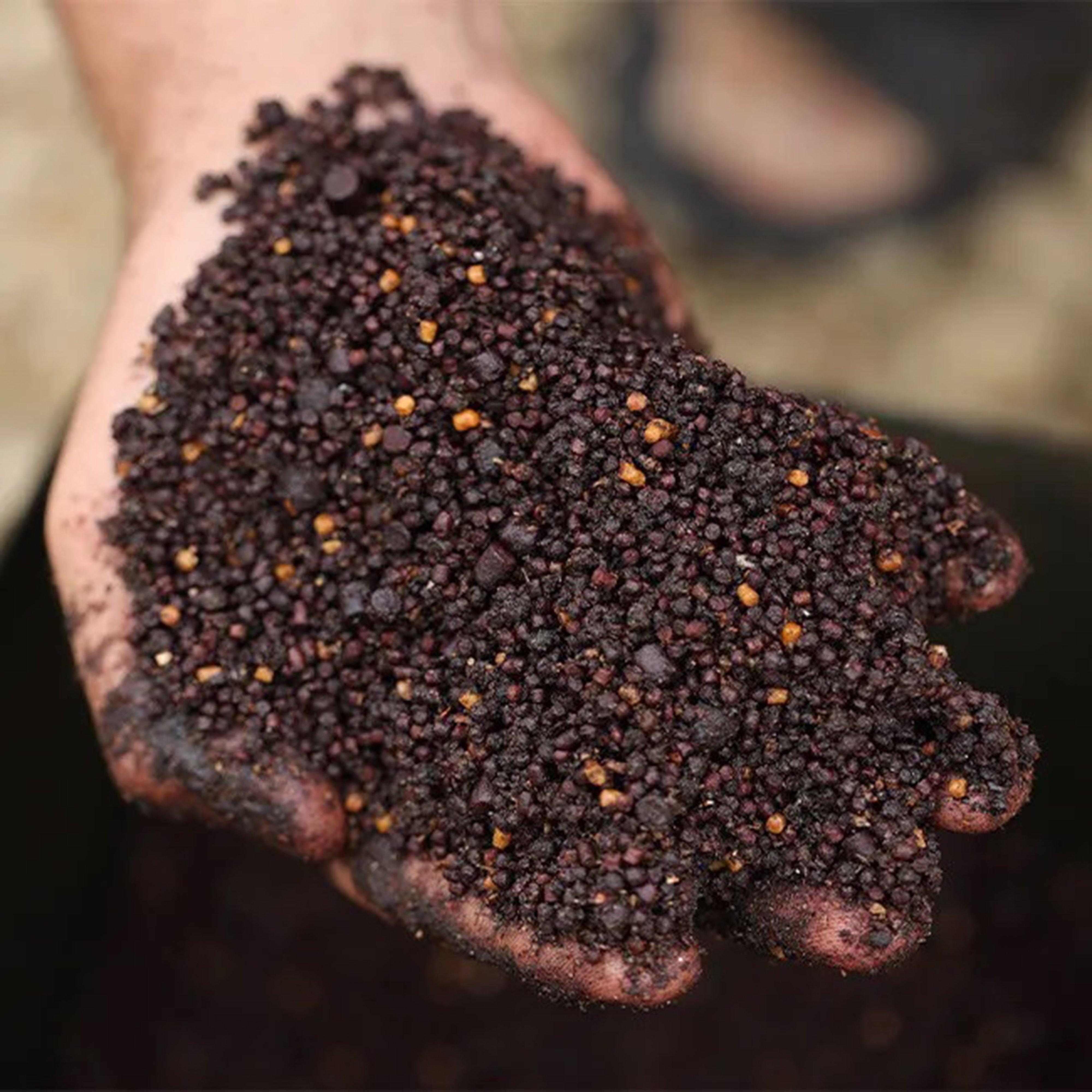 Bloodworm Spod and Bag Mix