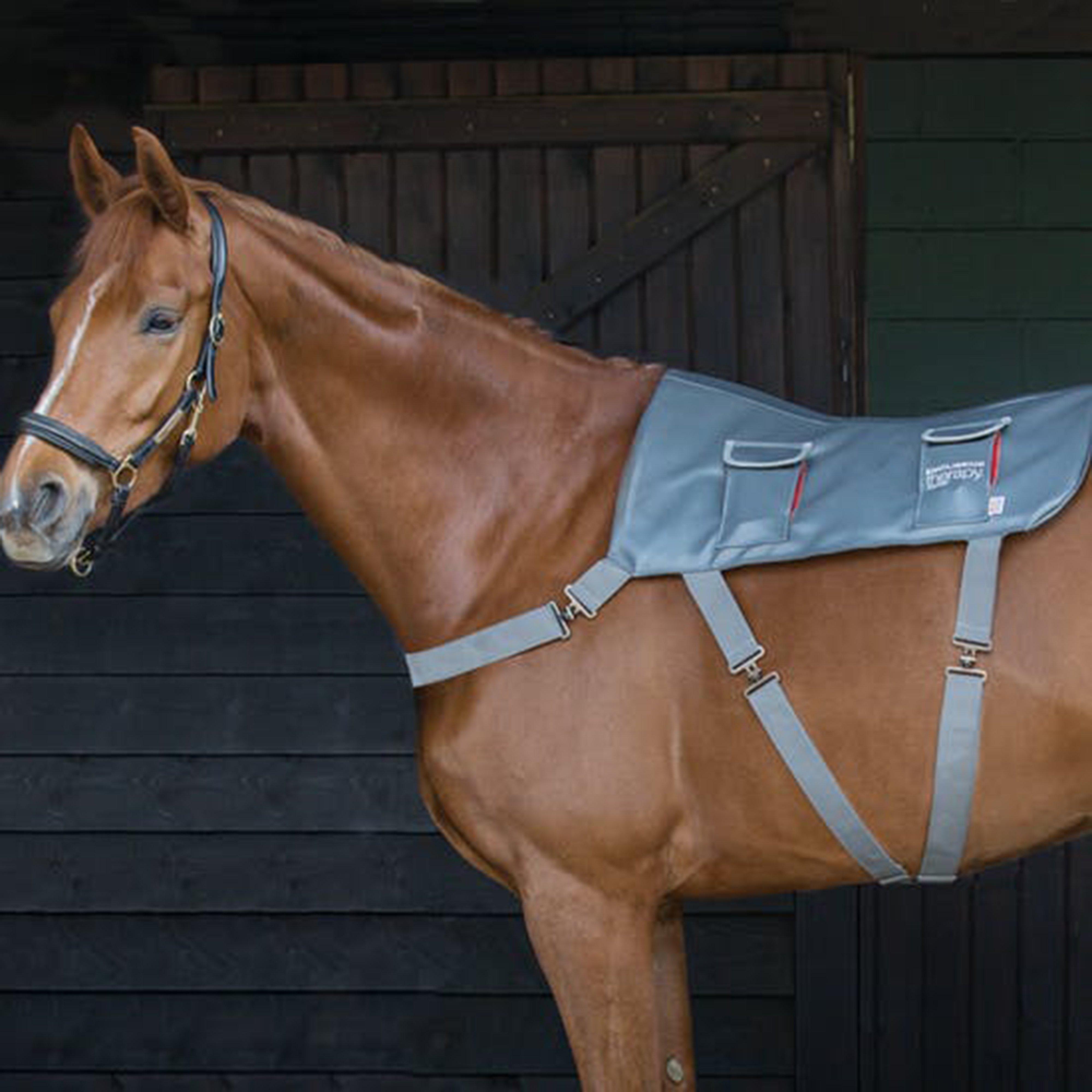 Equilibrium Massage Pad