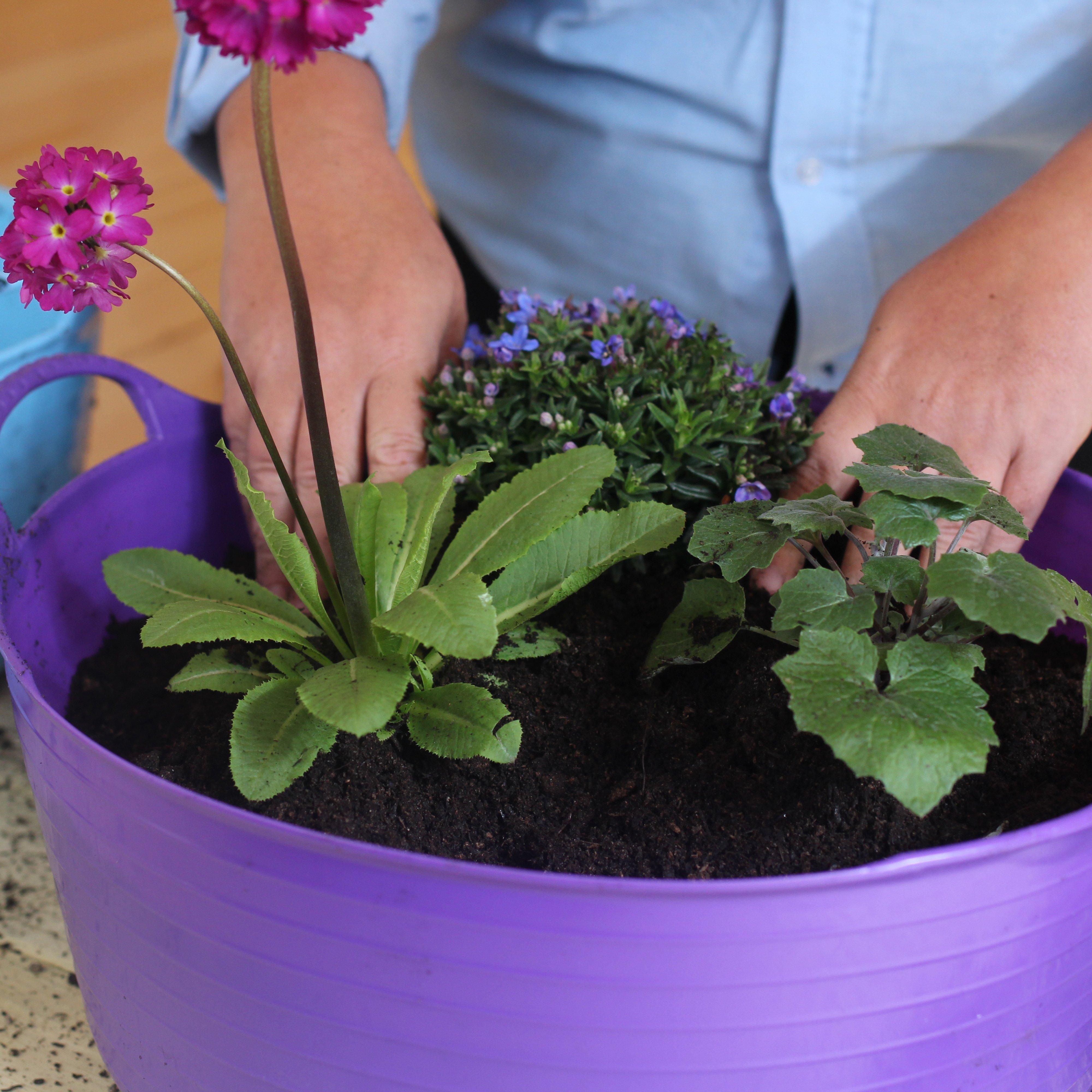 Flexible Shallow Tub