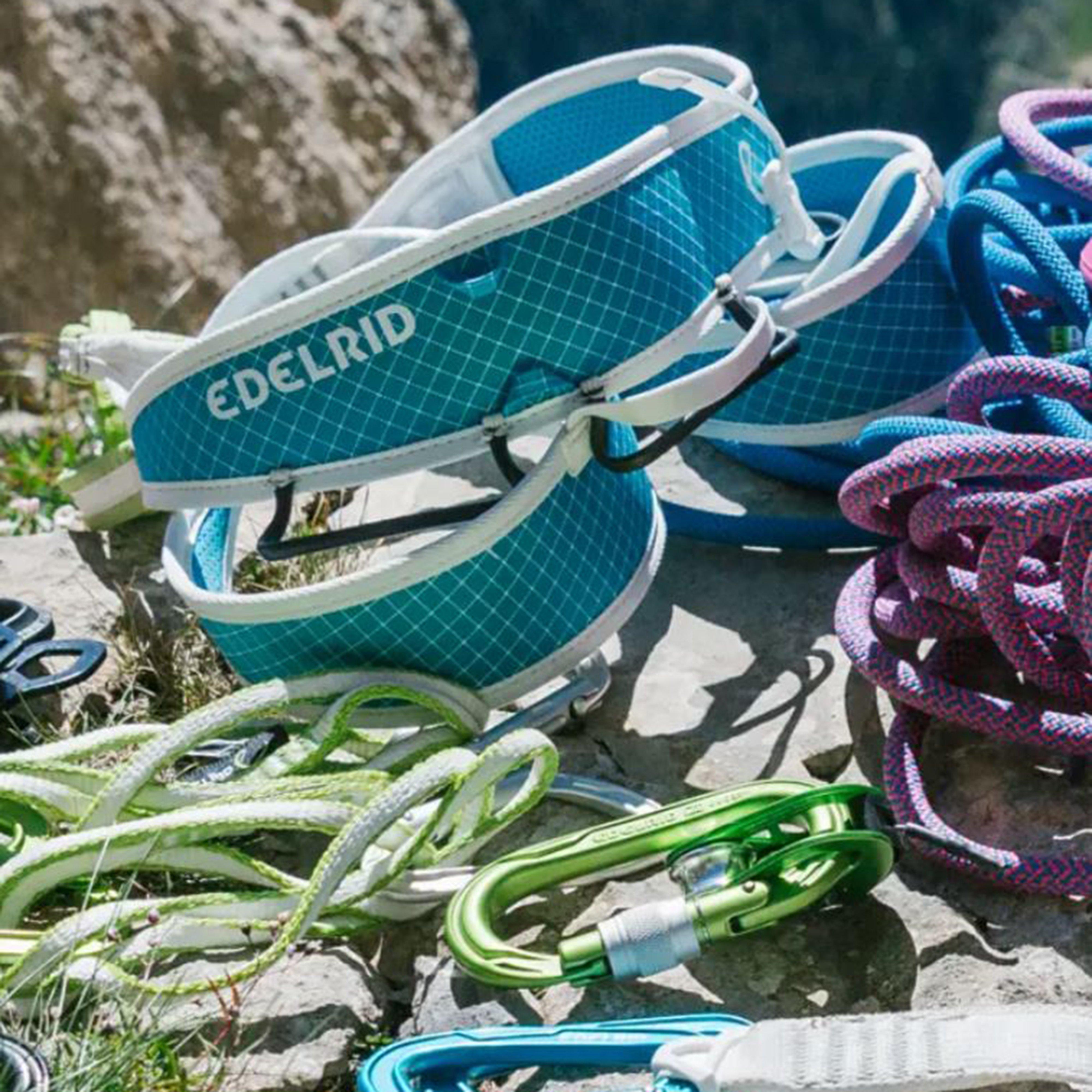 Prisma Climbing Harness