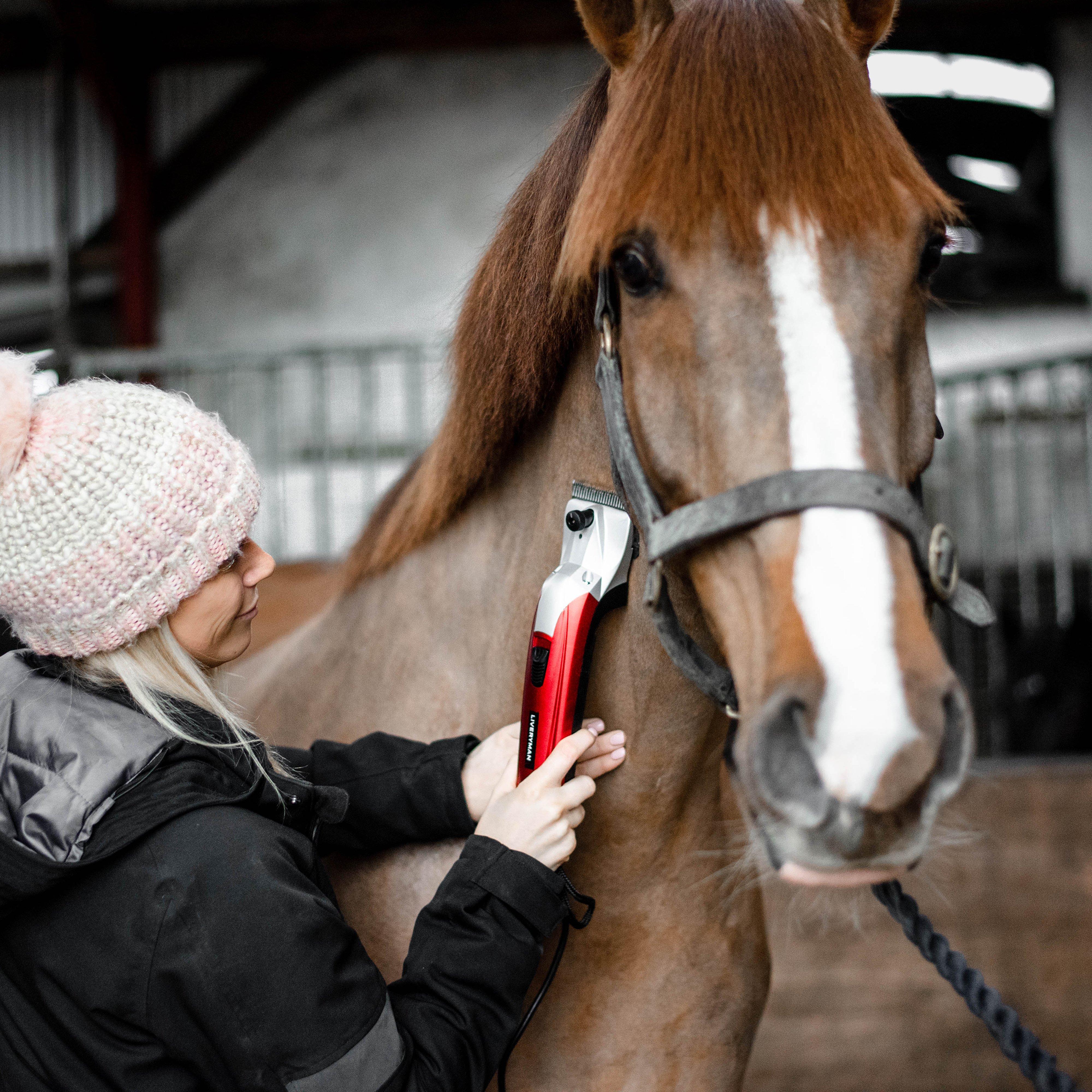 Black Beauty Clipper