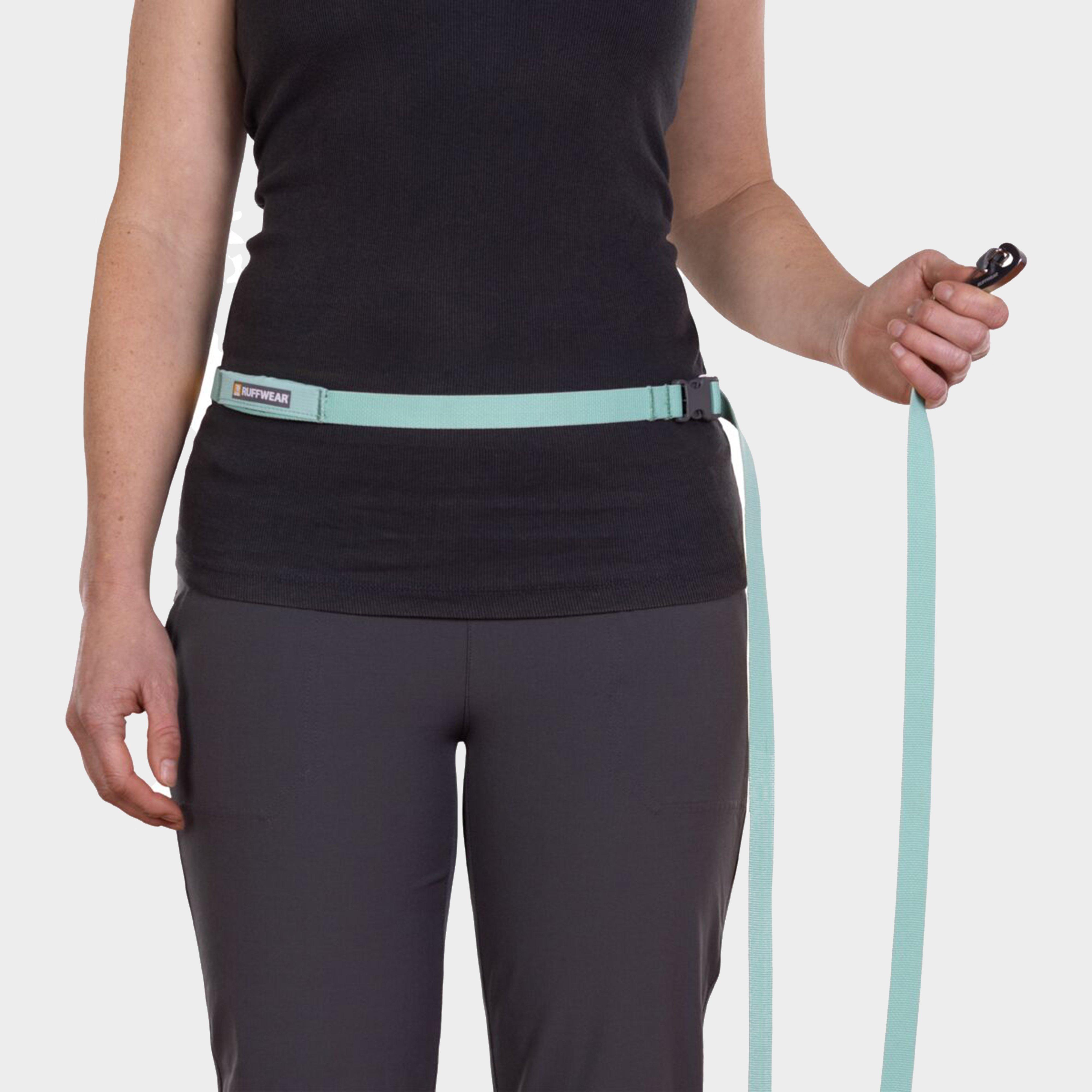 Flagline™ Dog Lead