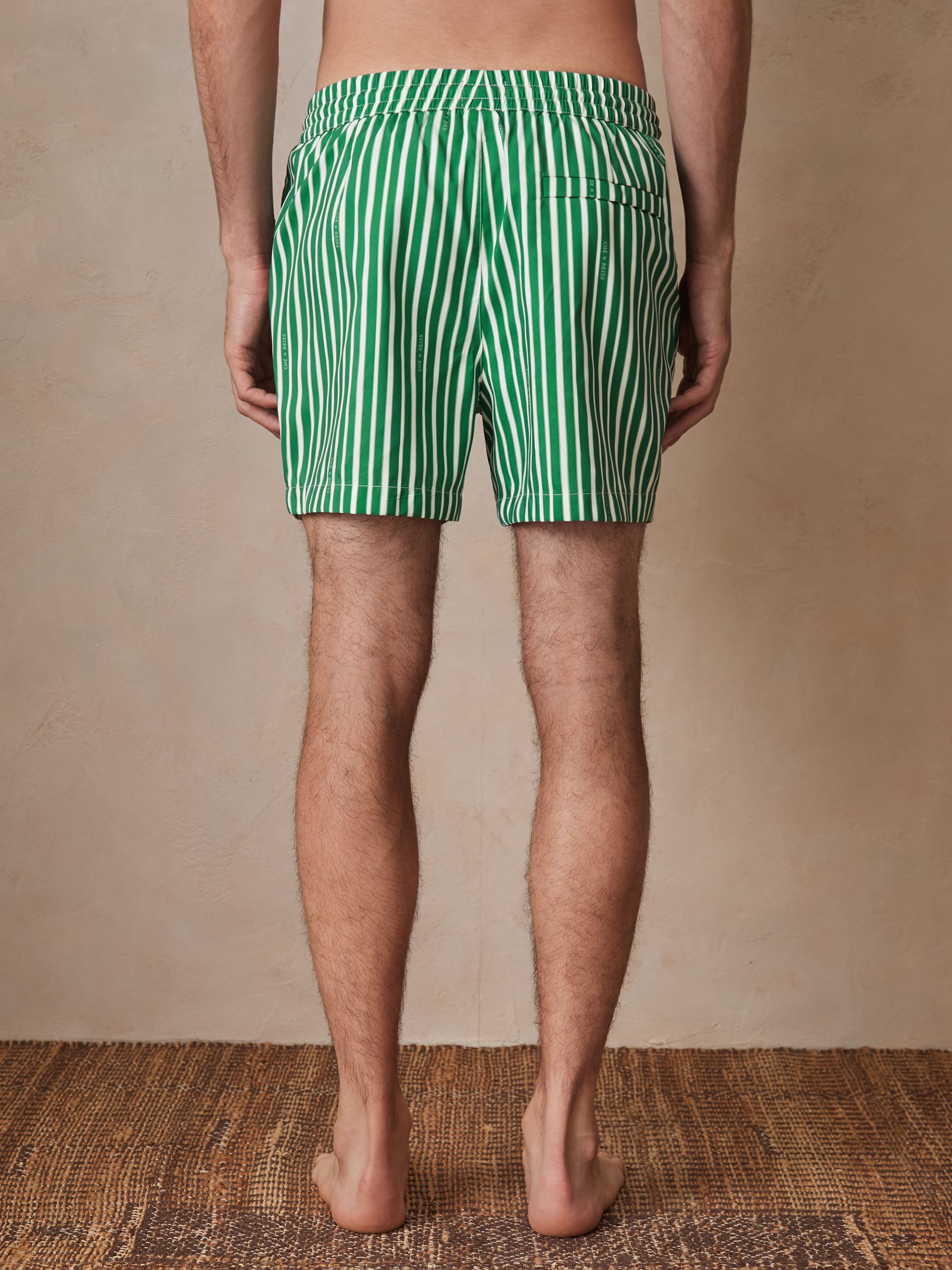Reiss | Ché Stripe Swim Shorts in Green/White