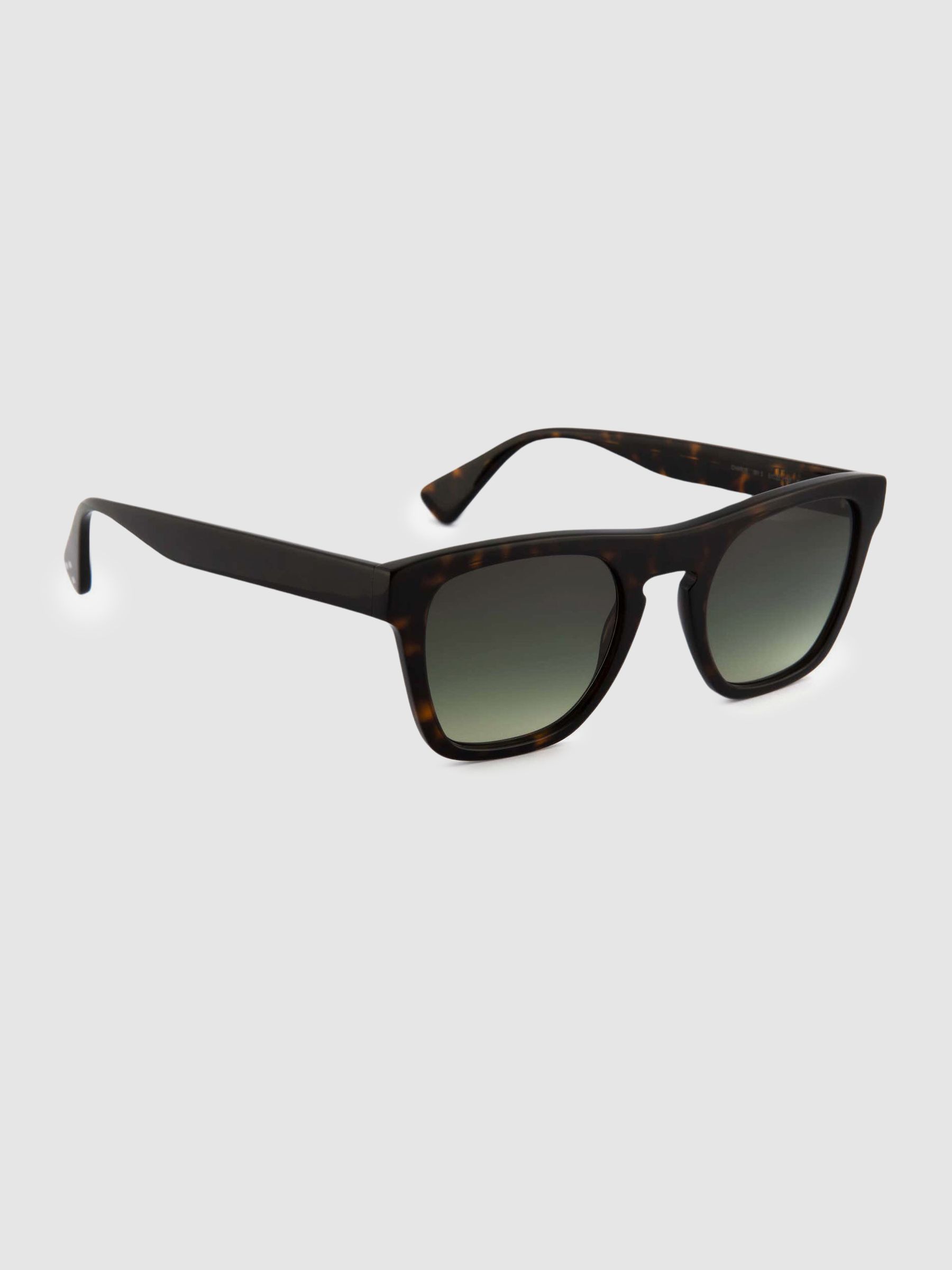 Curry and Paxton Square Sunglasses in Tortoise