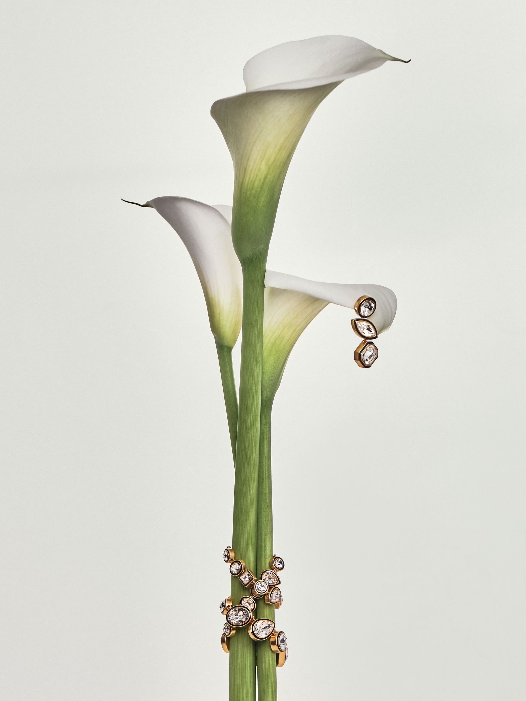 Tone Crystal Drop Earrings in Gold