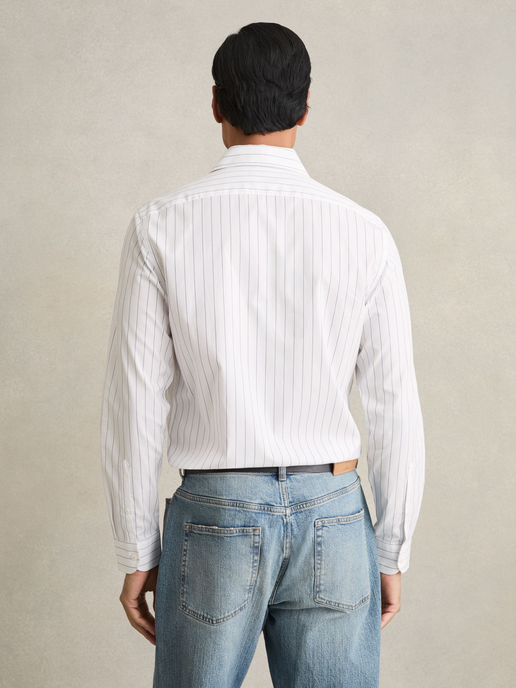 Cotton Cutaway Collar Stripe Shirt in Blue/White